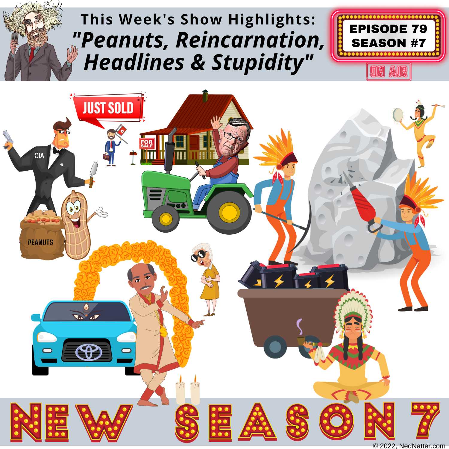 The Ned Natter Show