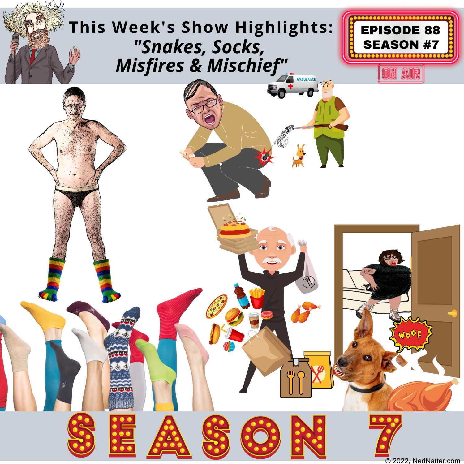 The Ned Natter Show