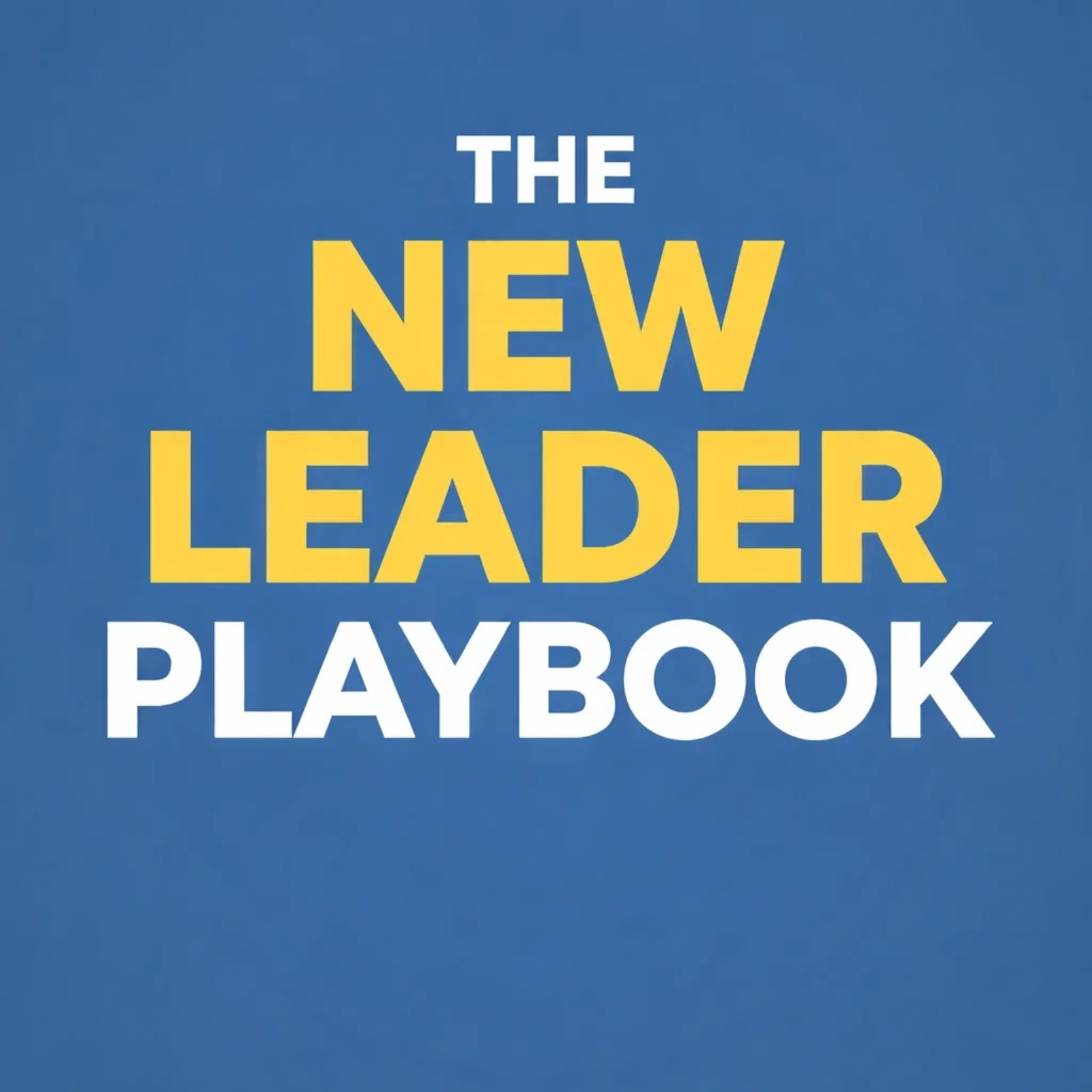 The New Leader Playbook