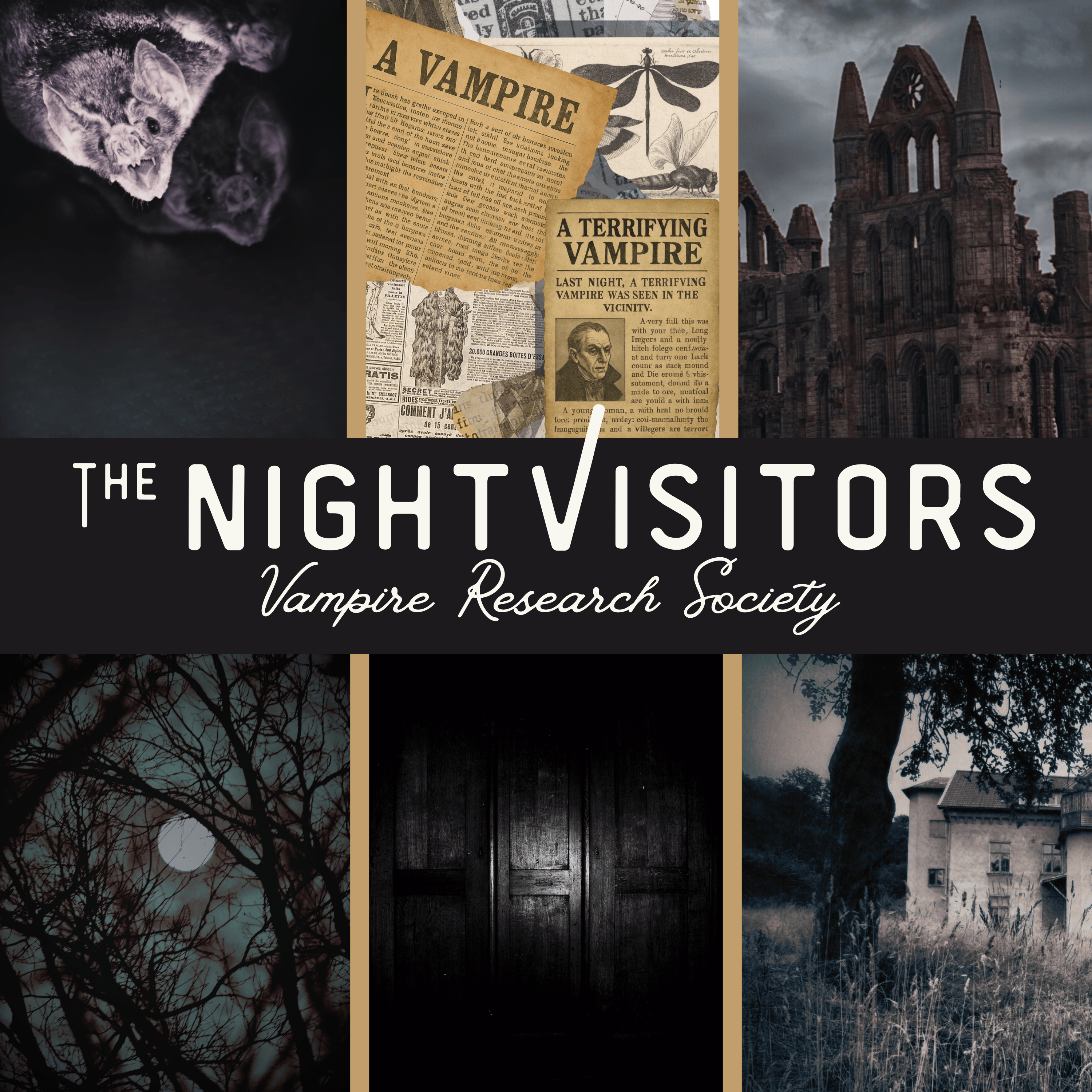 The Night Visitors Vampire Research Society cover art