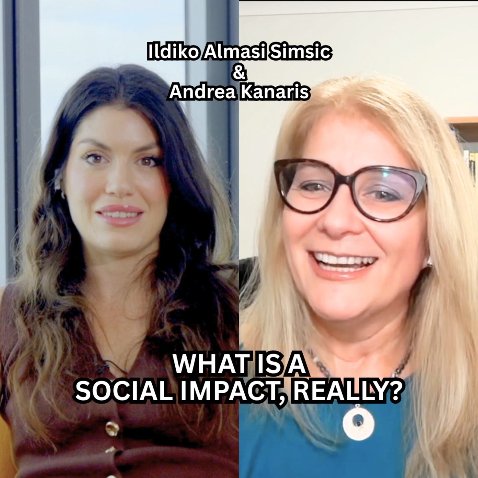 The No Nonsense Sustainability Podcast