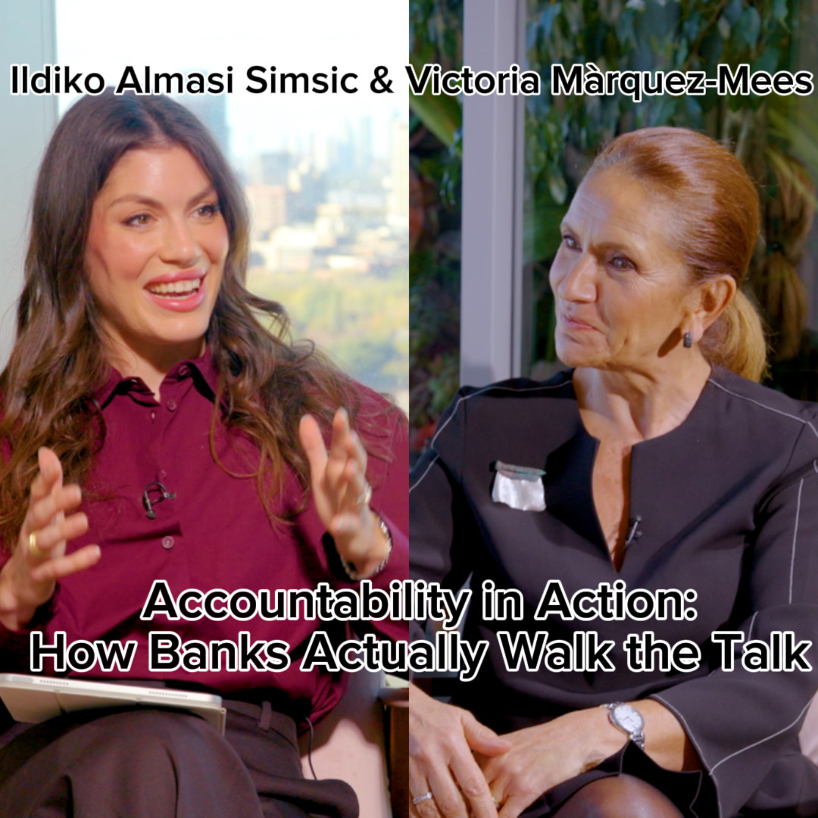 The No Nonsense Sustainability Podcast