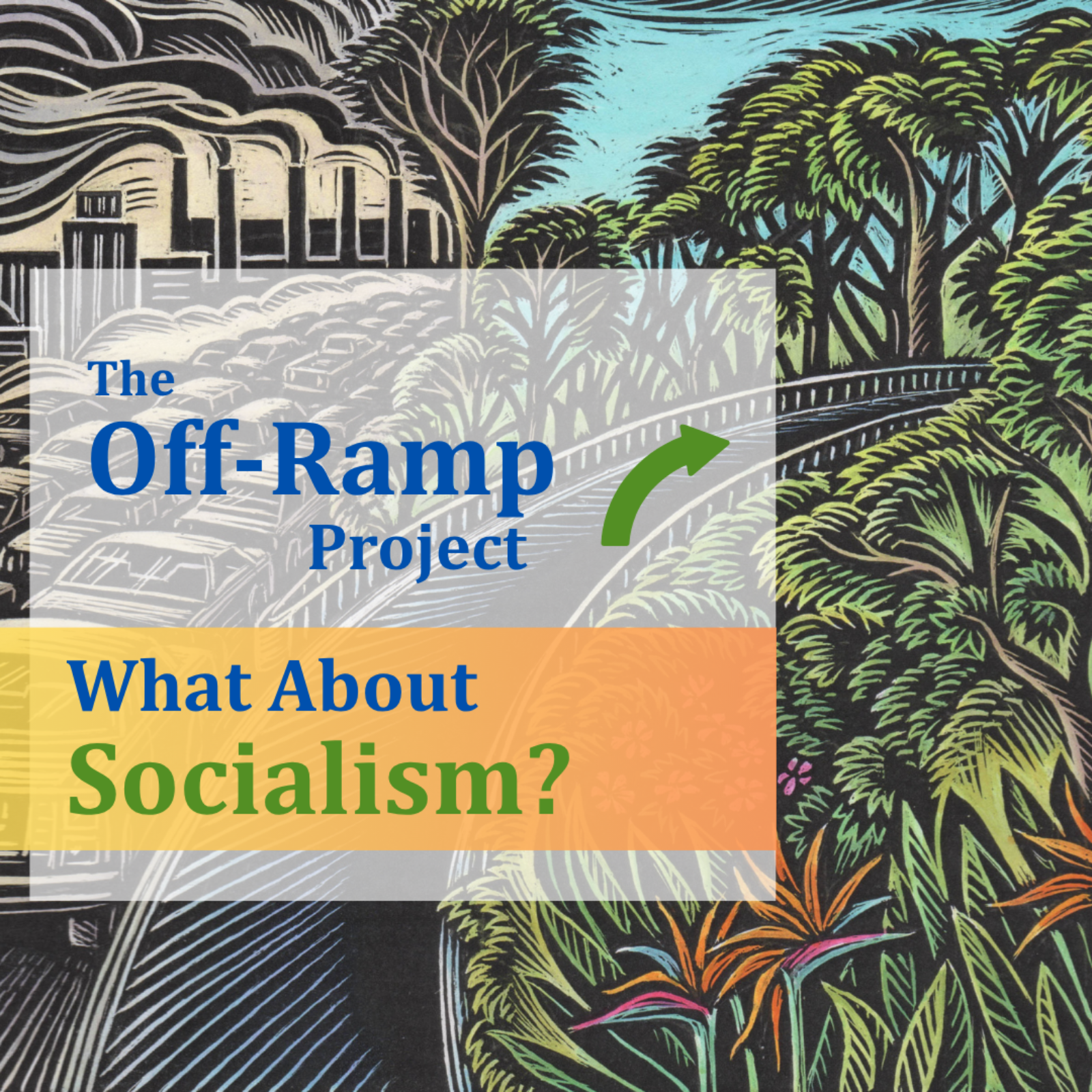 What About Socialism? episode artwork