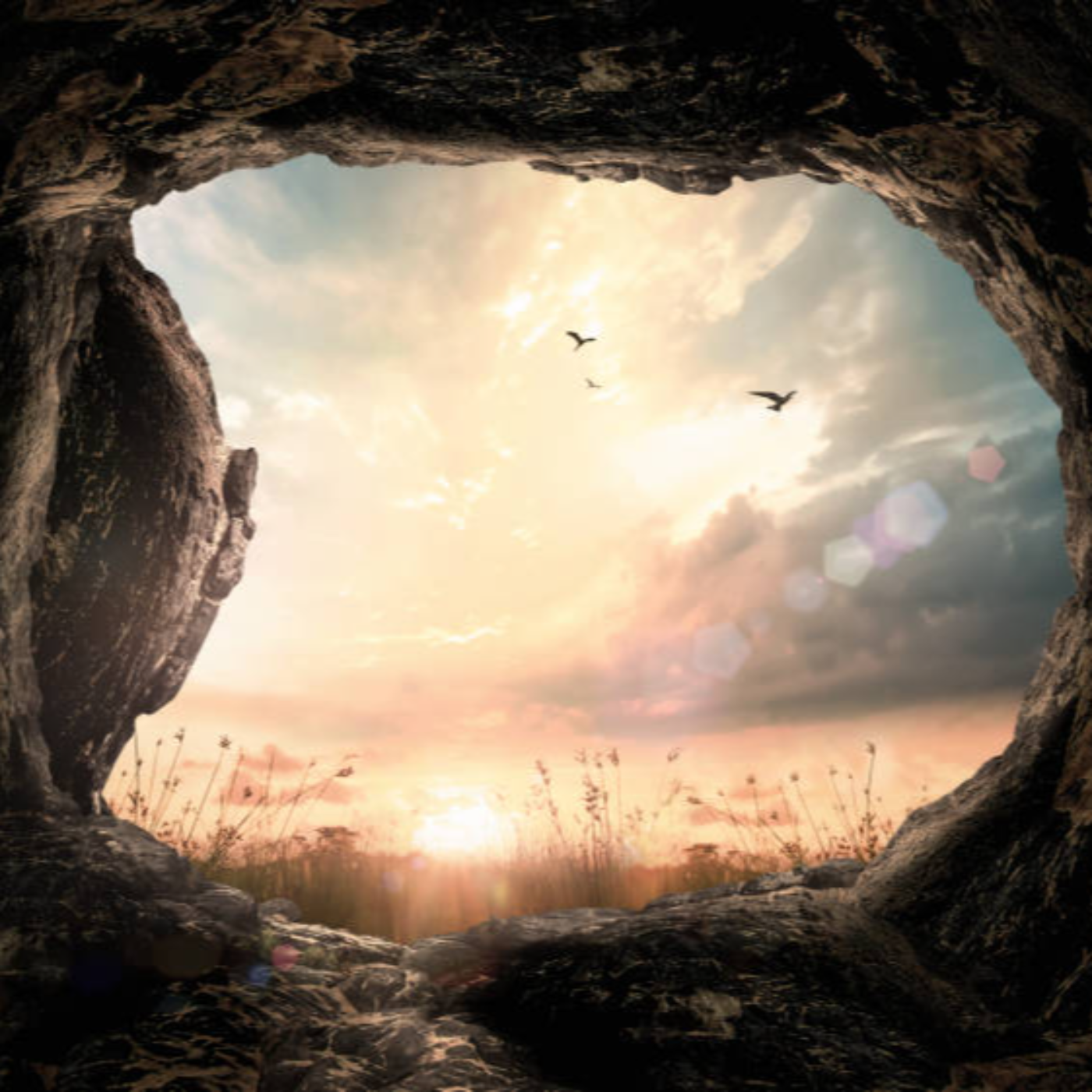 The Open Doors