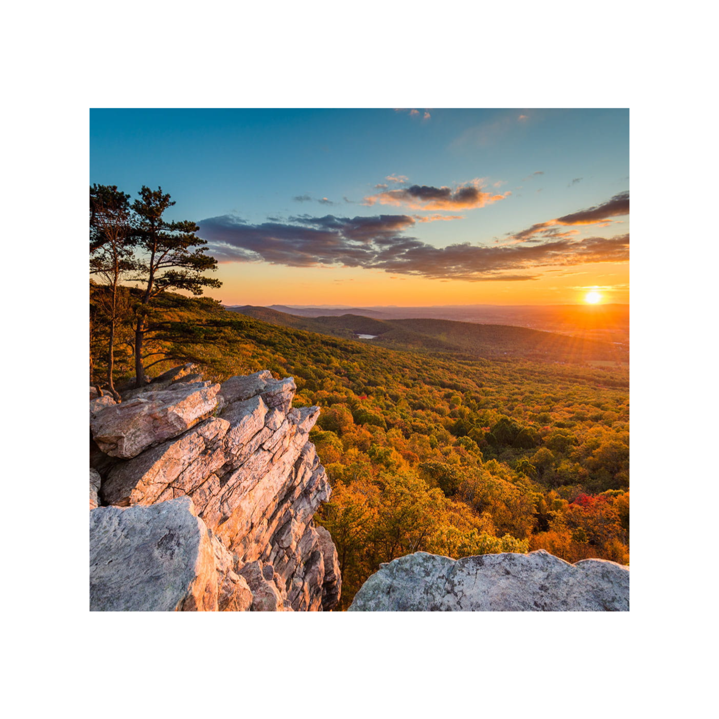 The Pandemics Effect on Social Media Consumption