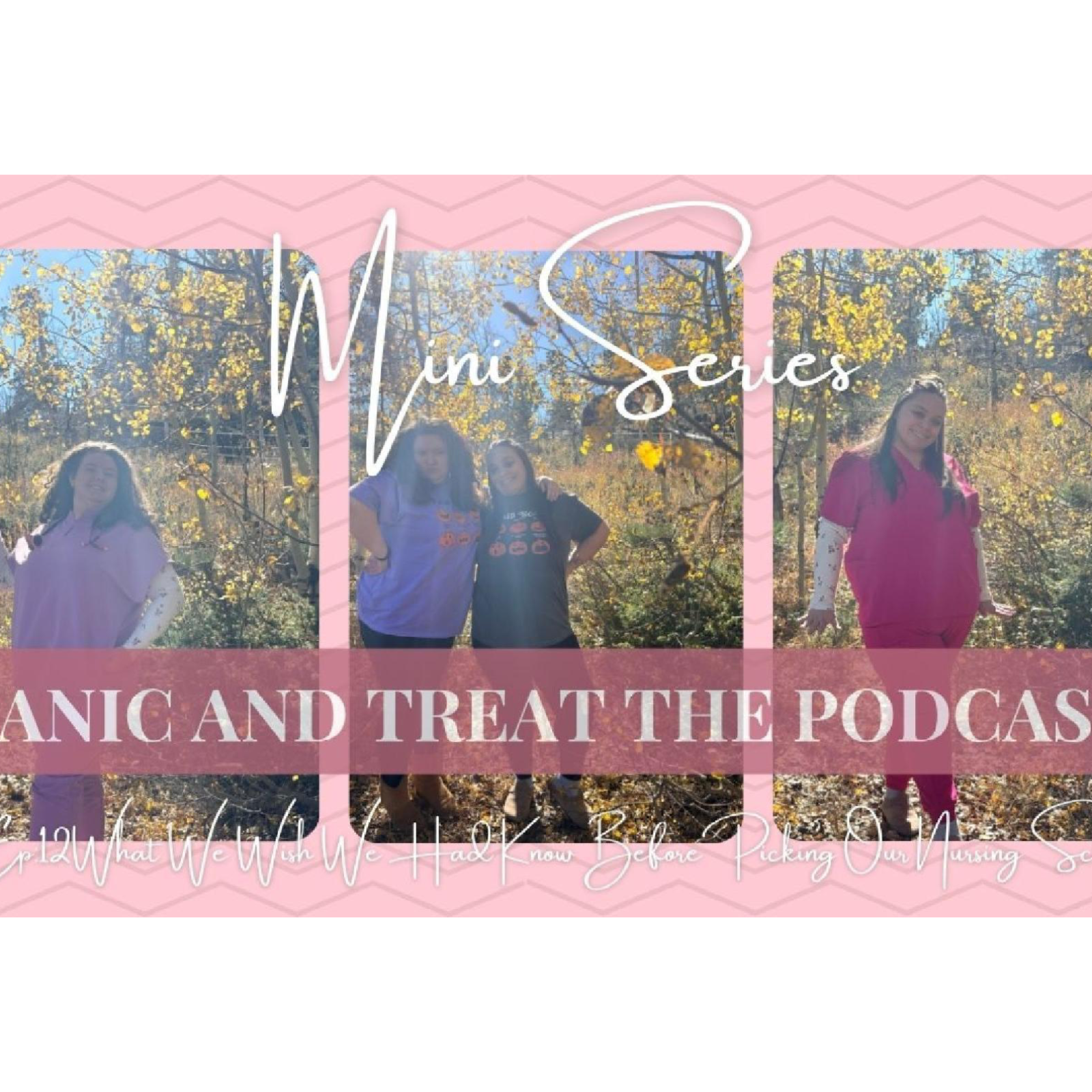 Ep. 12: "Miniseries Ep 1. : What We Wish We Had Known Before Picking a Nursing School" episode artwork