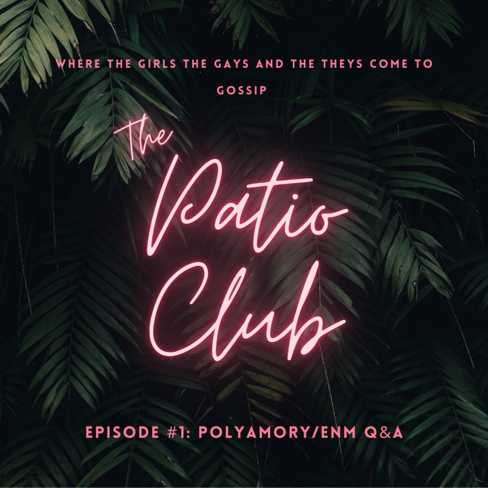 Polyamory/ENM Q&A