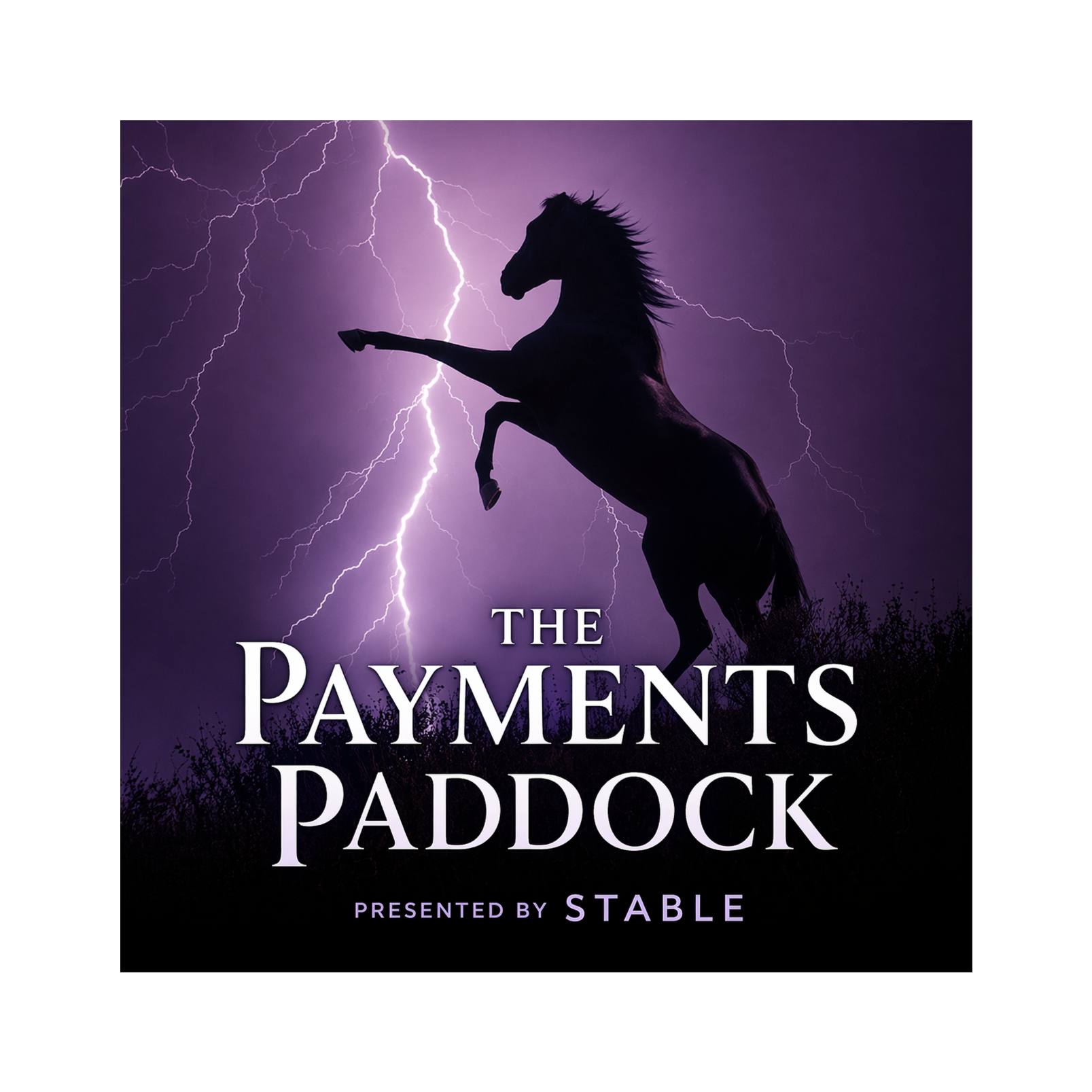 The Payments Paddock (Presented by Stable)