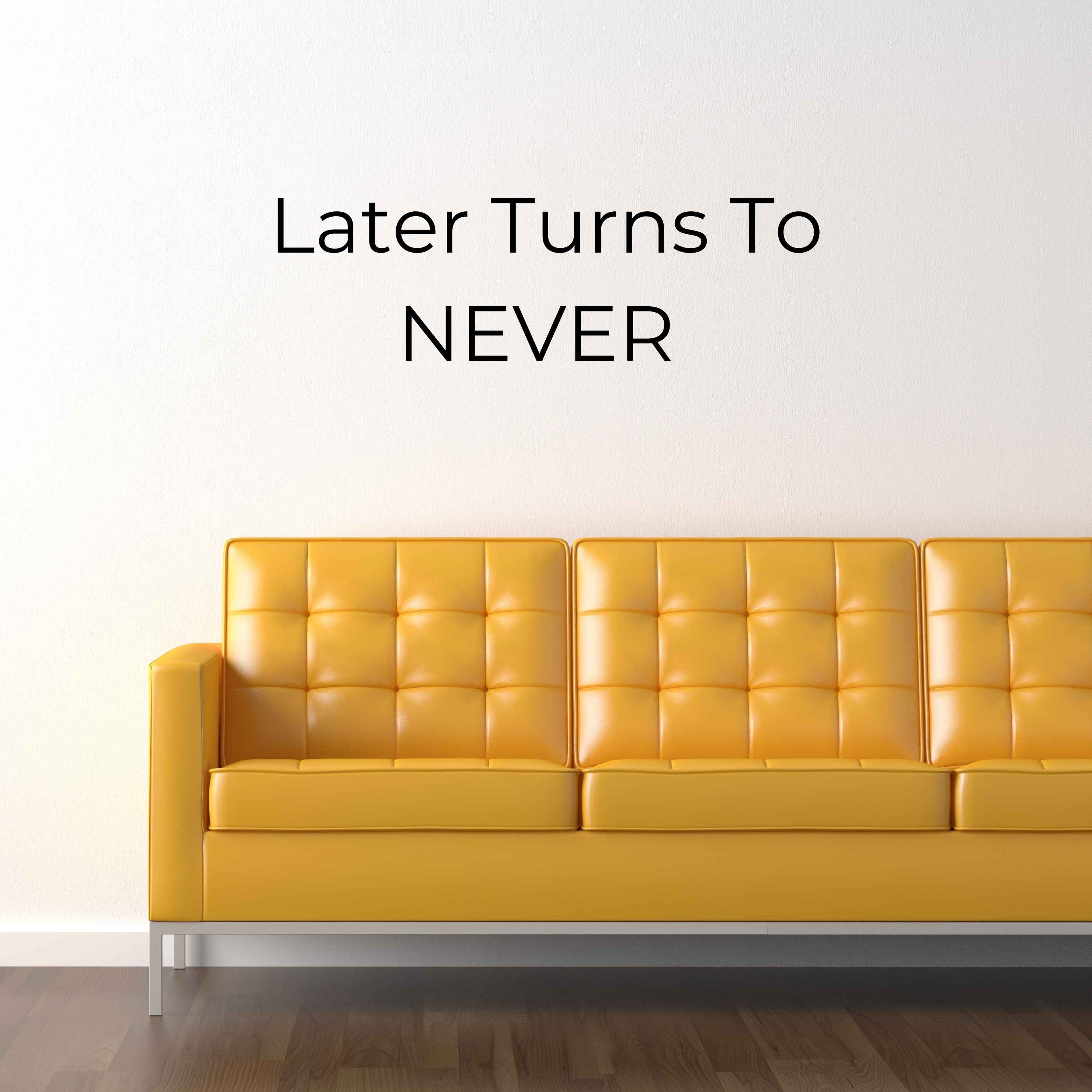 The Photographer\'s Couch