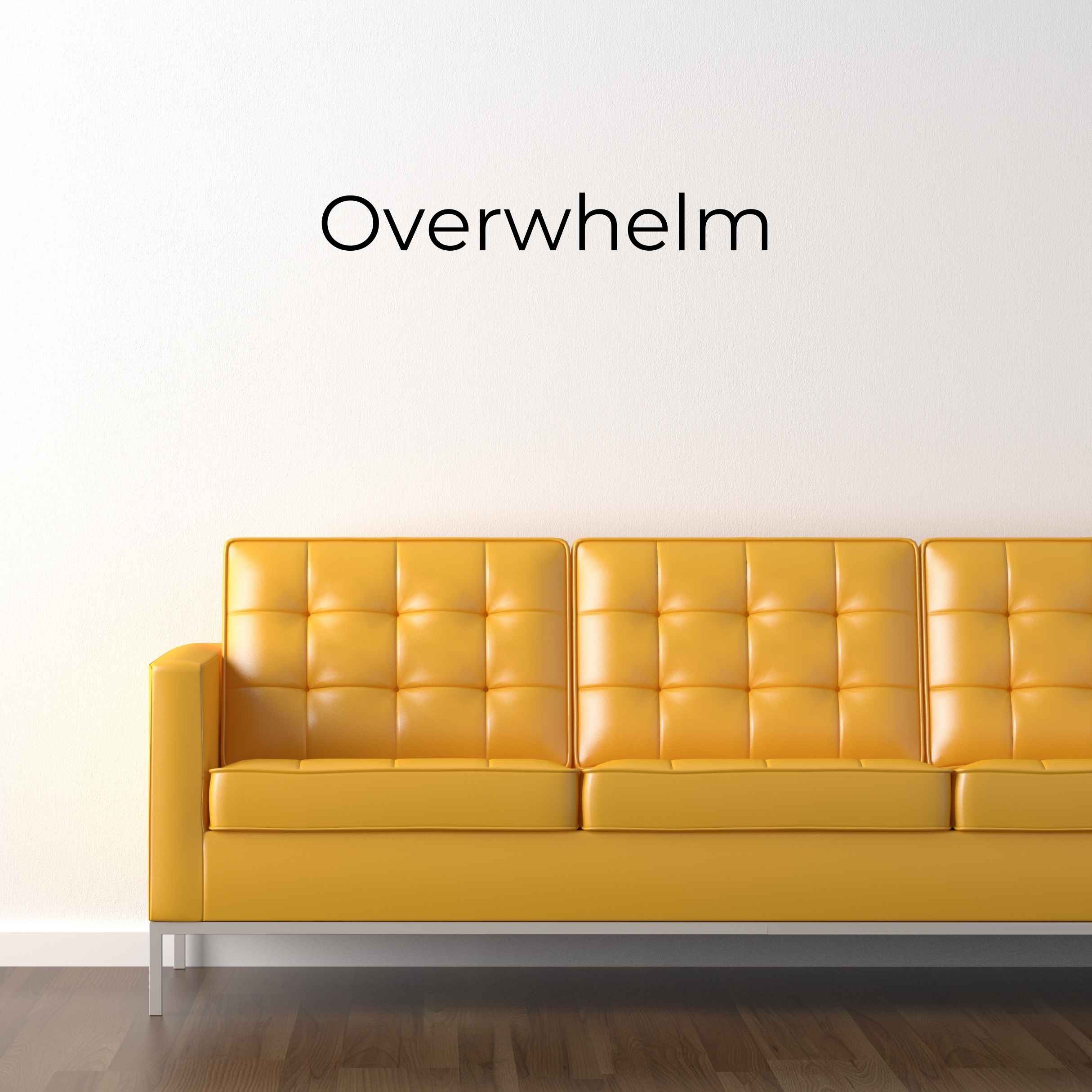The Photographer\'s Couch