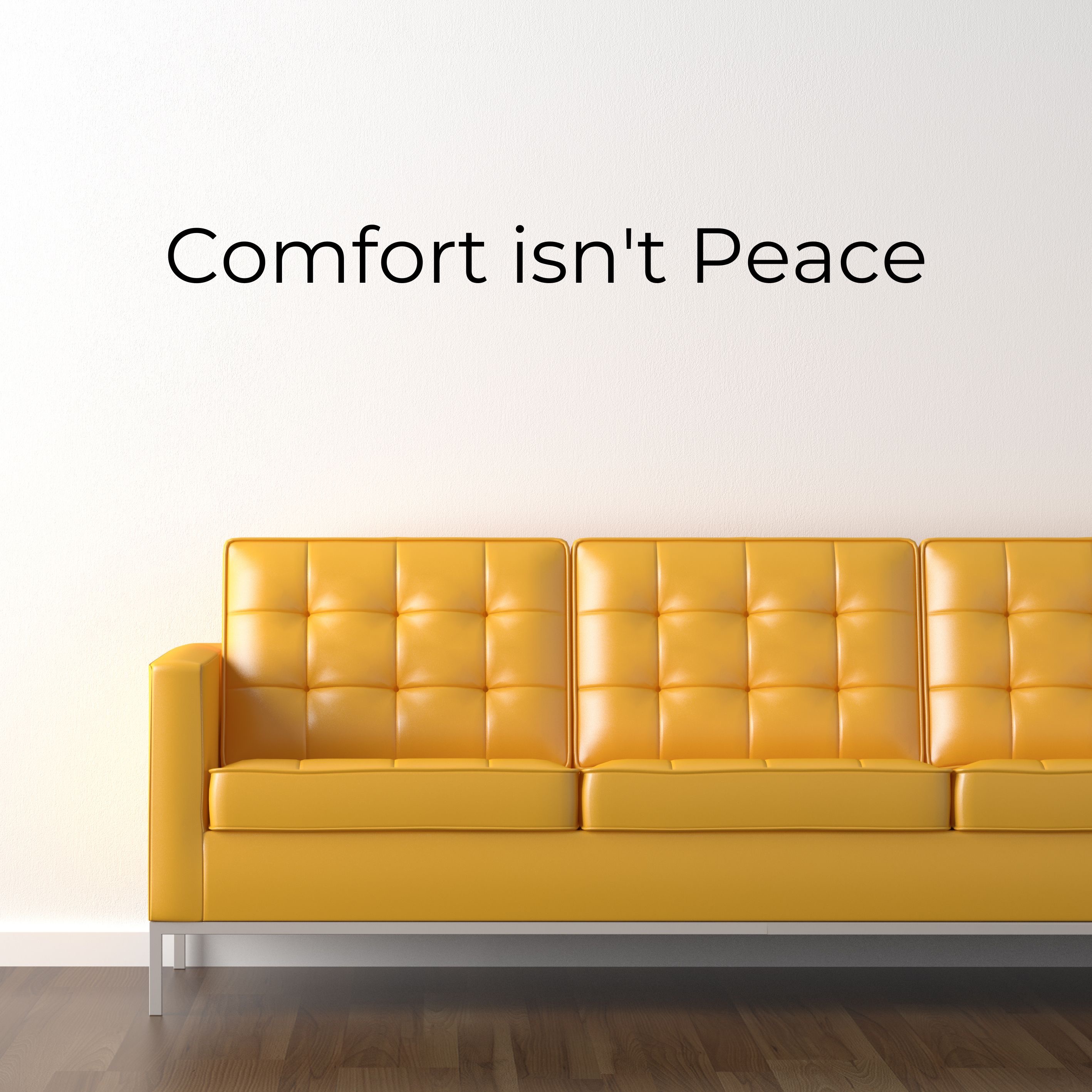 The Photographer\'s Couch