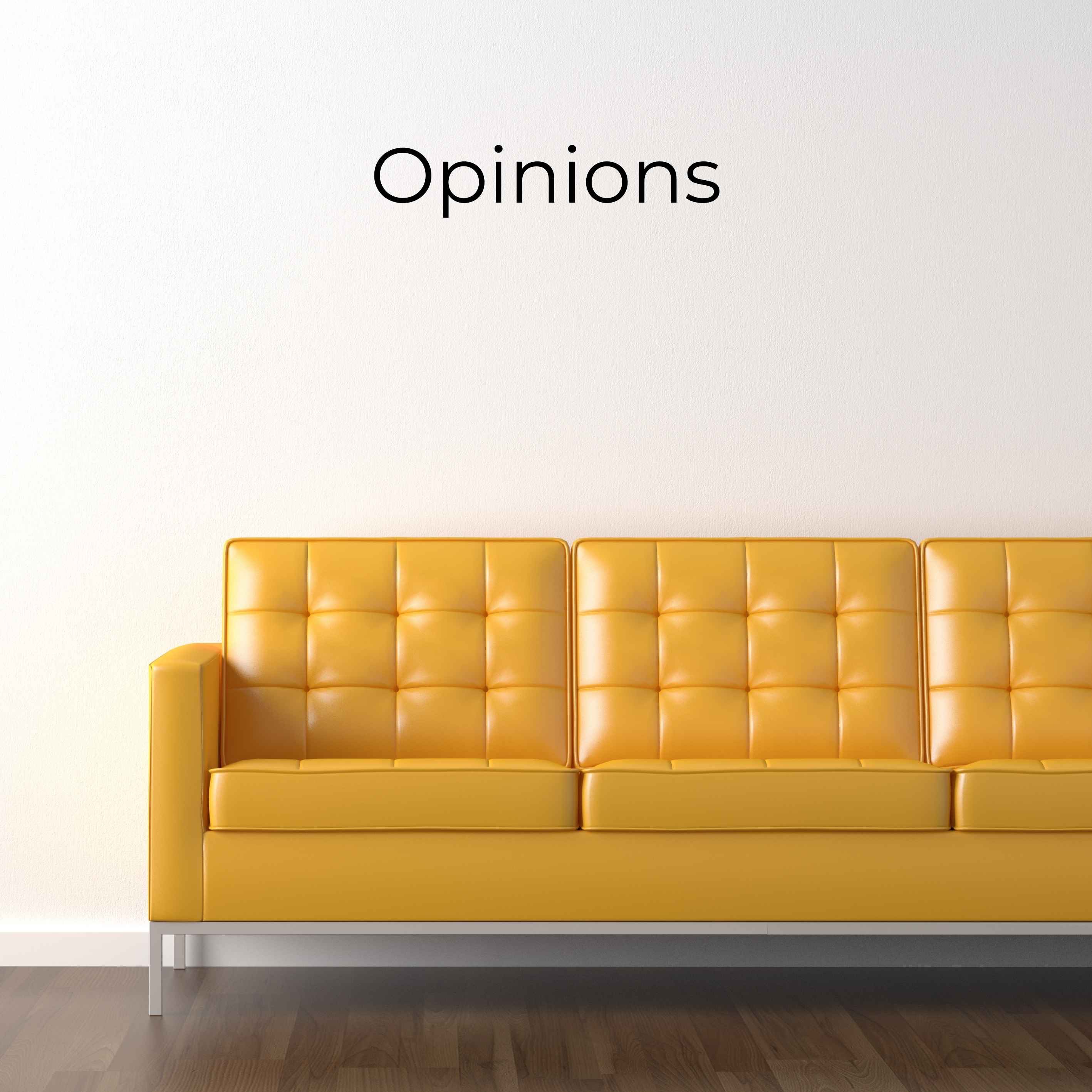 Opinions episode artwork