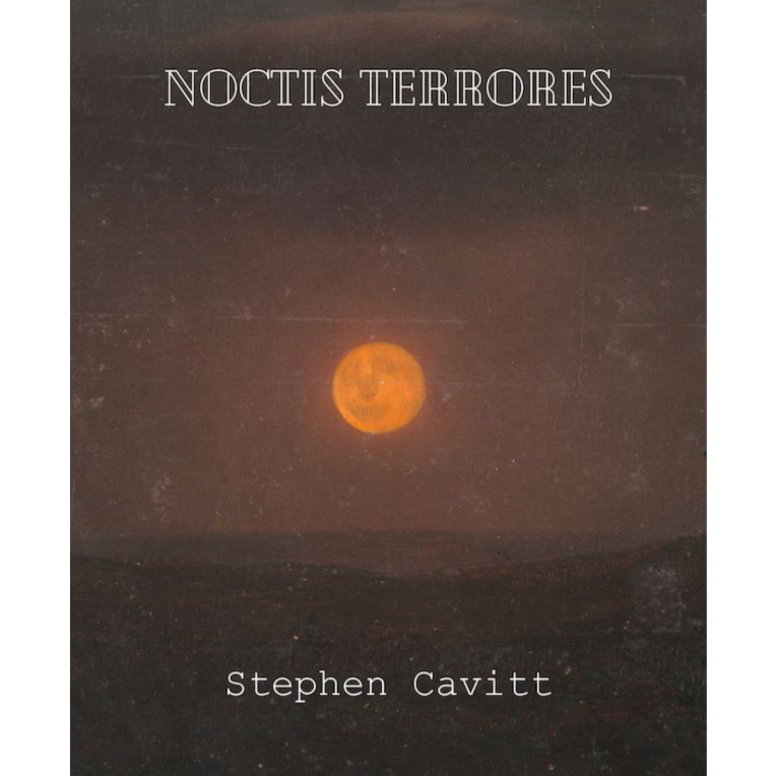 The Poetry Professor