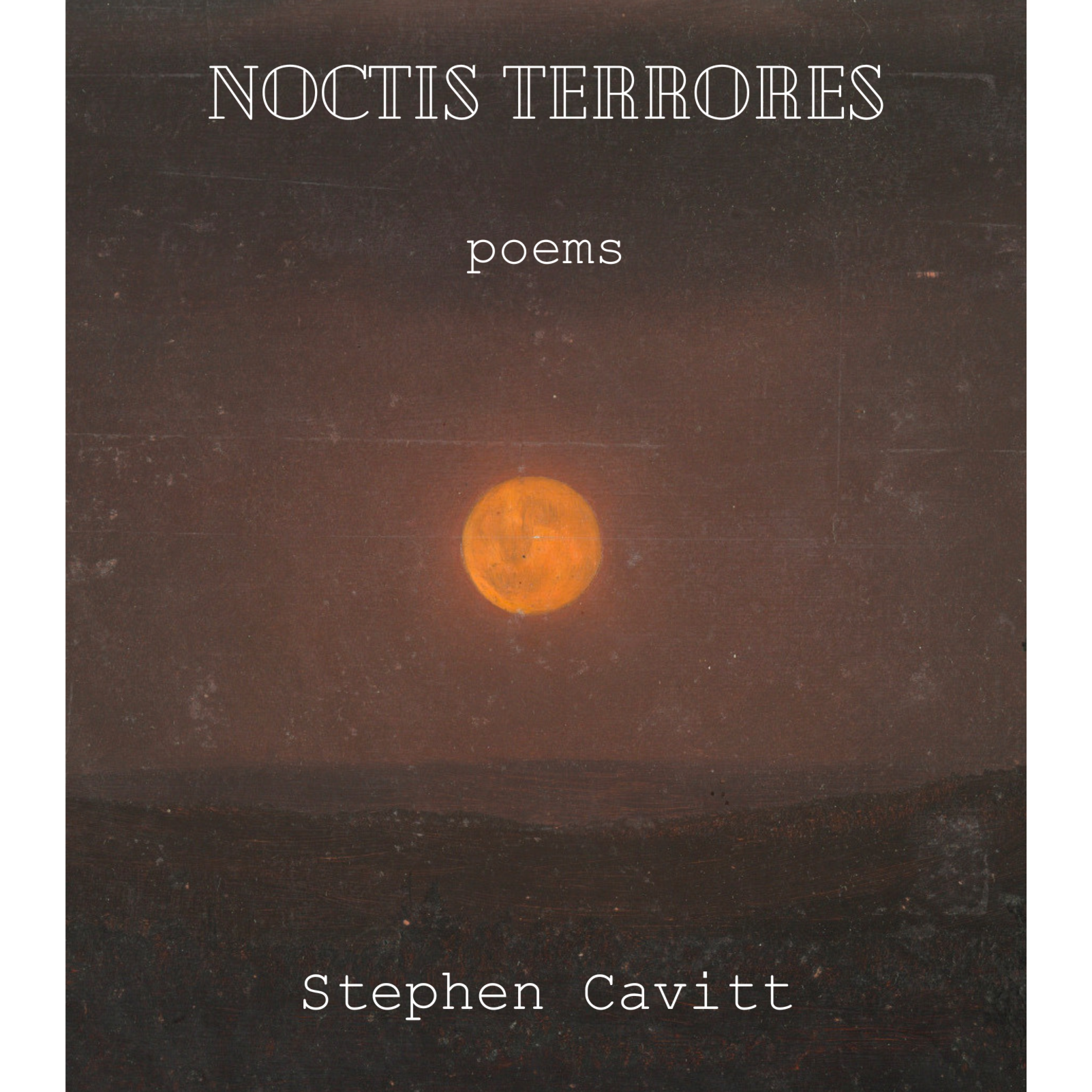 The Poetry Professor