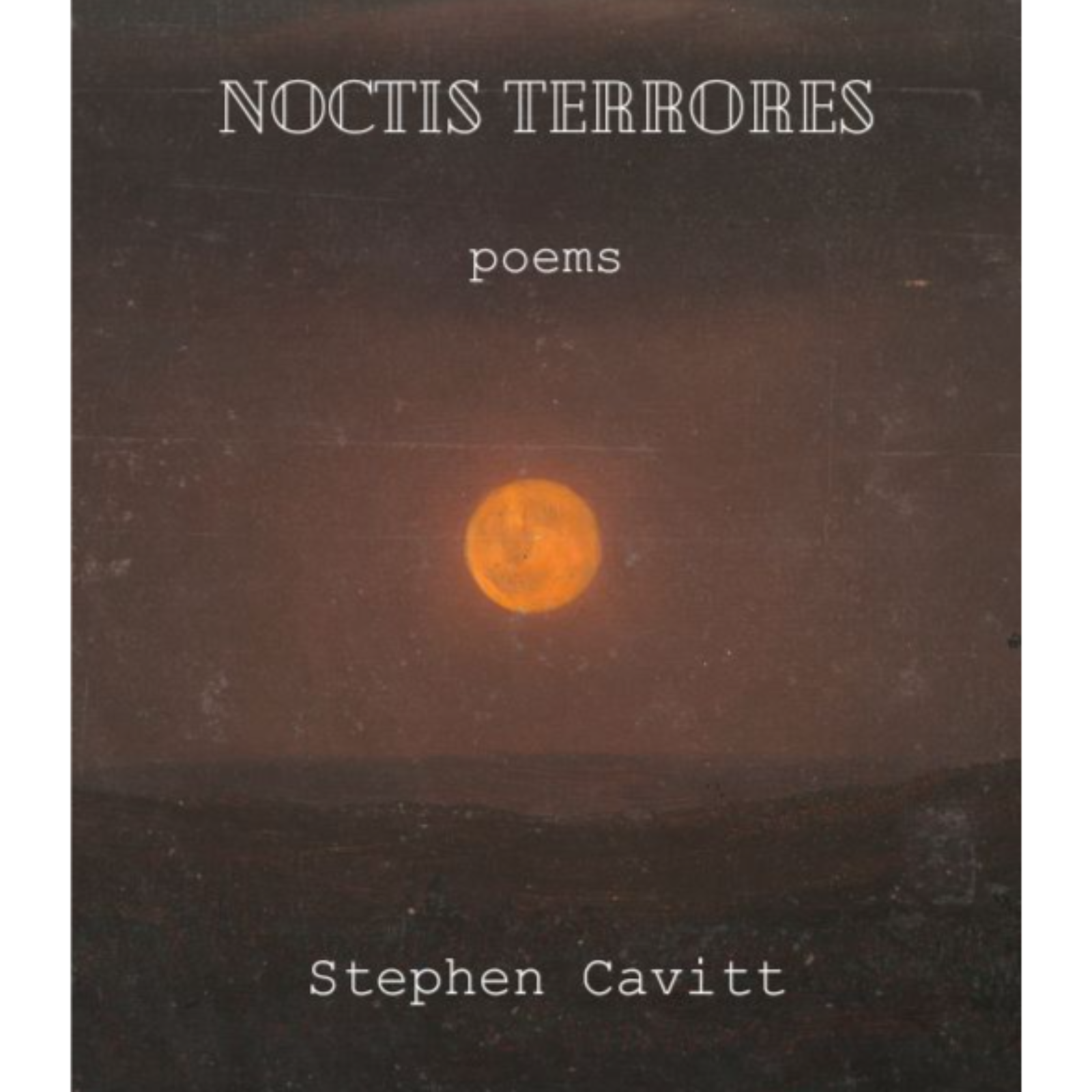 The Poetry Professor