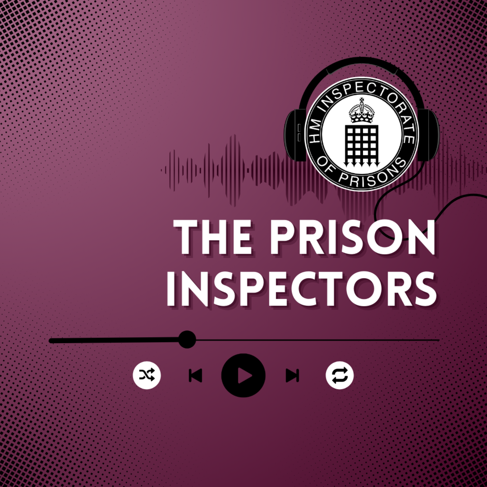 The Prison Inspectors
