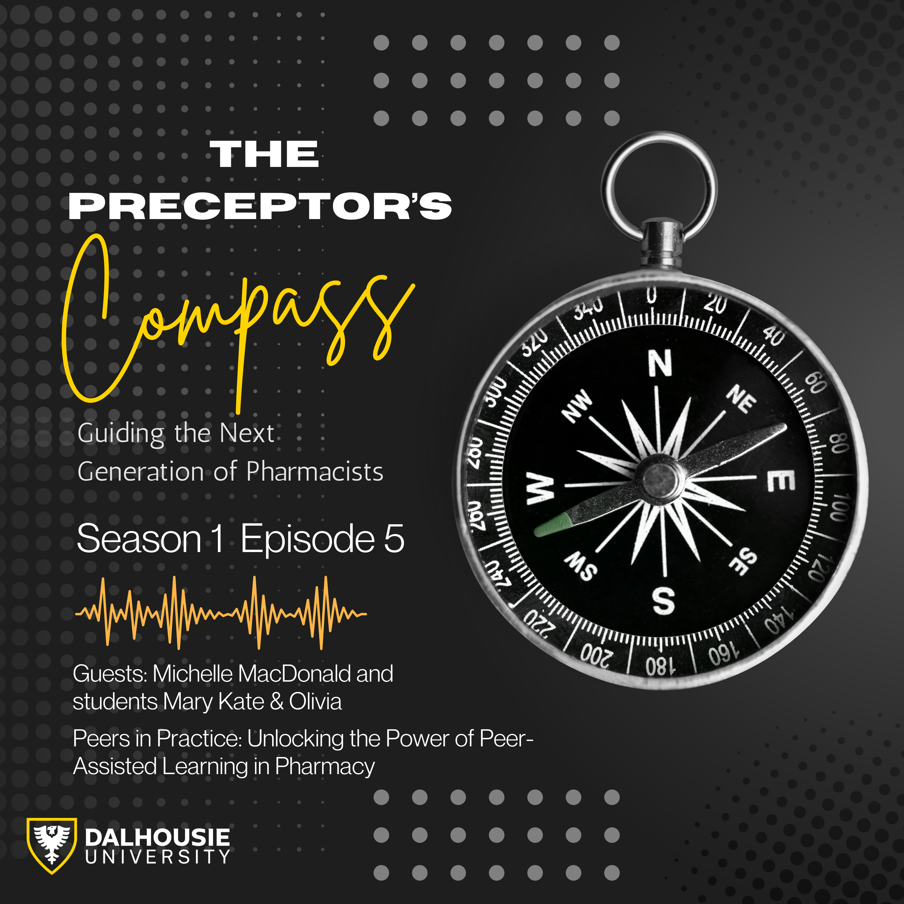  Peers in Practice: Unlocking the Power of Peer-Assisted Learning in Pharmacy  episode artwork