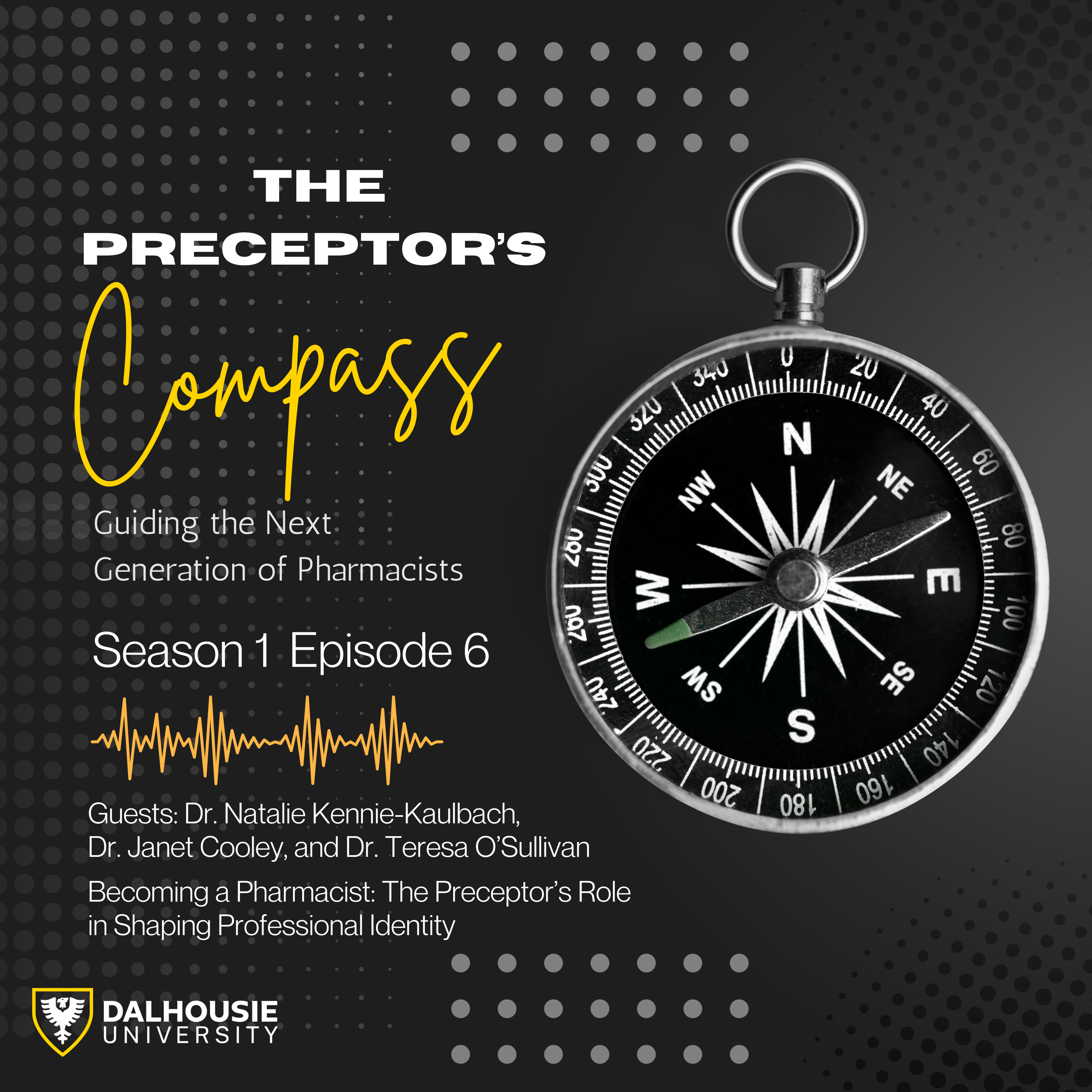 Becoming a Pharmacist: The Preceptor’s Role in Shaping Professional  Identity episode artwork