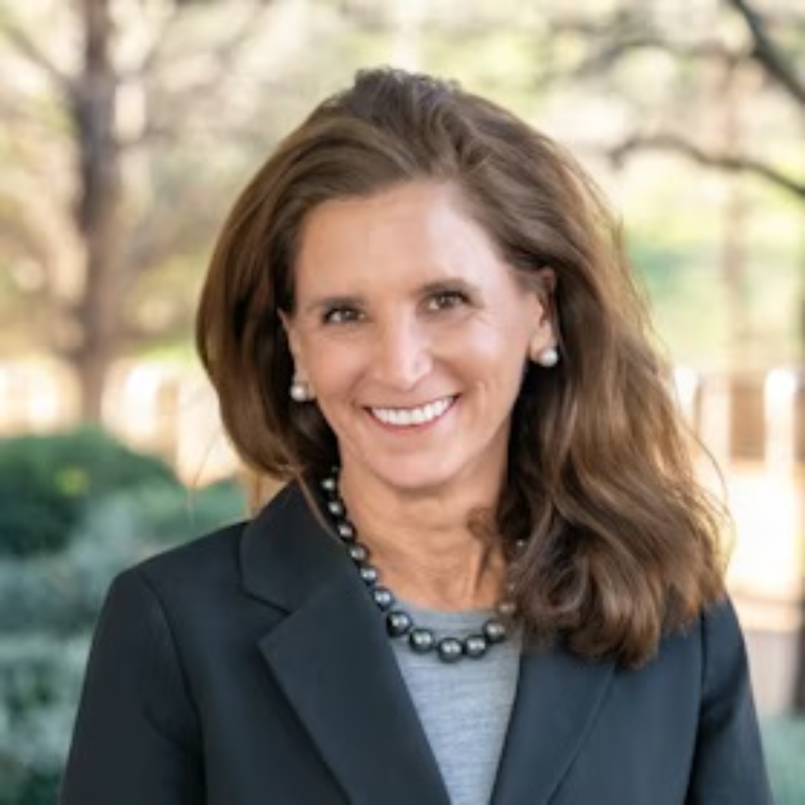 The Public Service Project