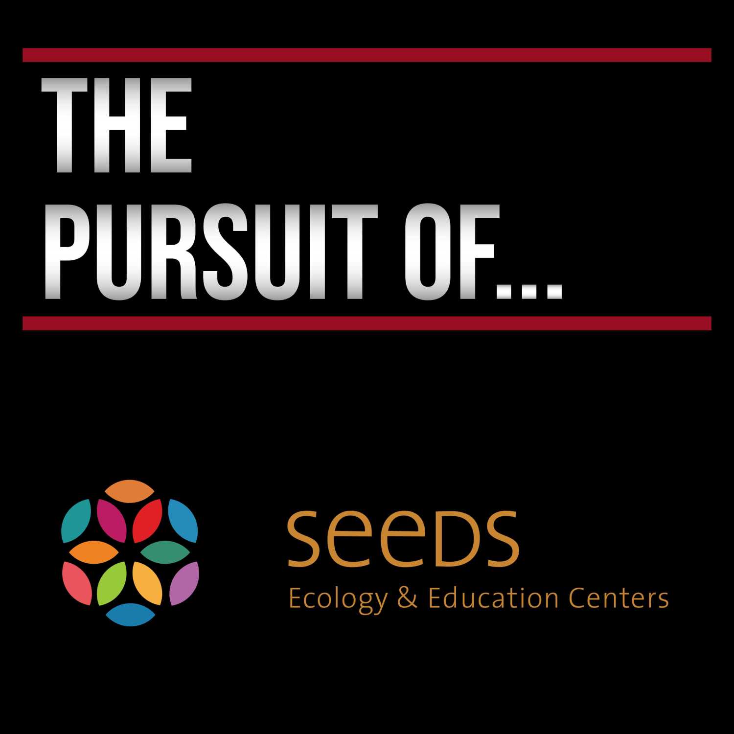 The Pursuit Of...