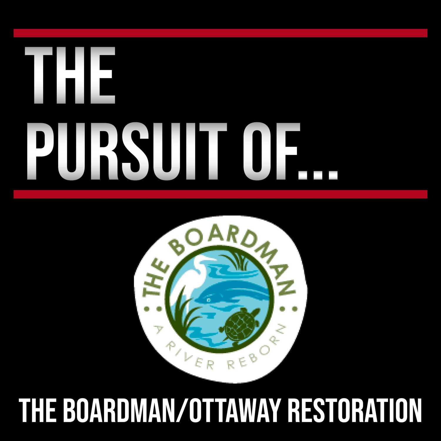 The Pursuit Of...