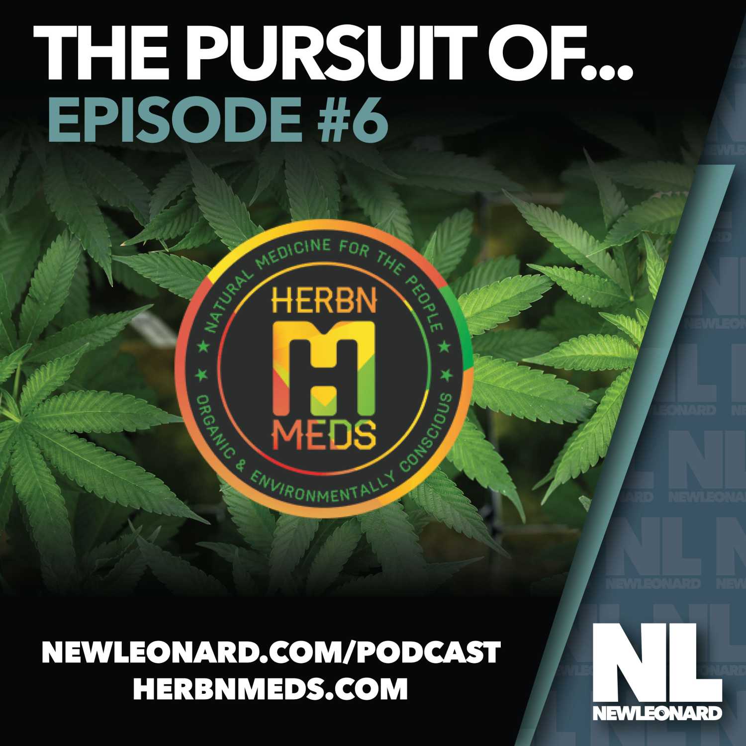 The Pursuit Of...