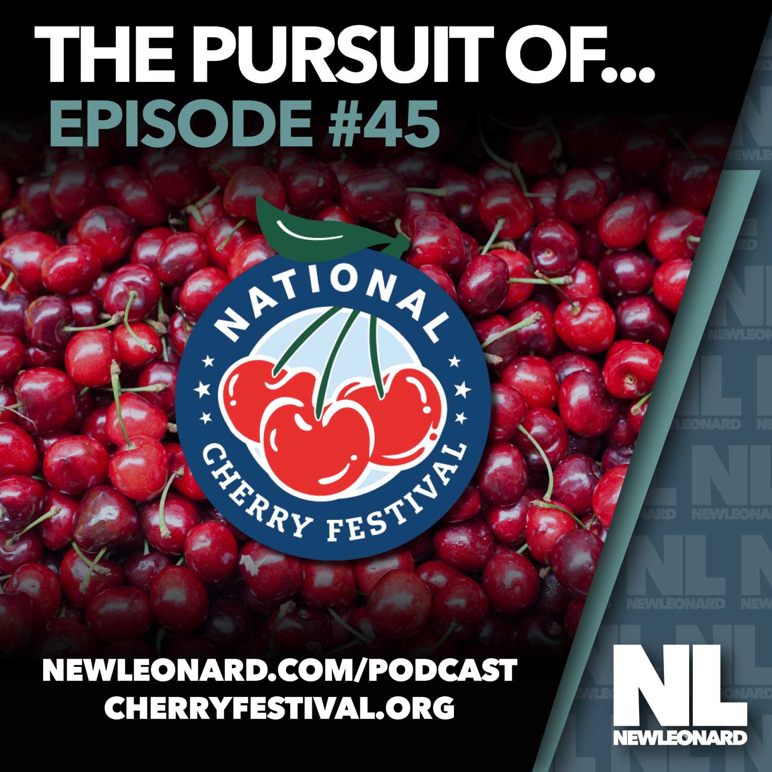 The Pursuit Of...
