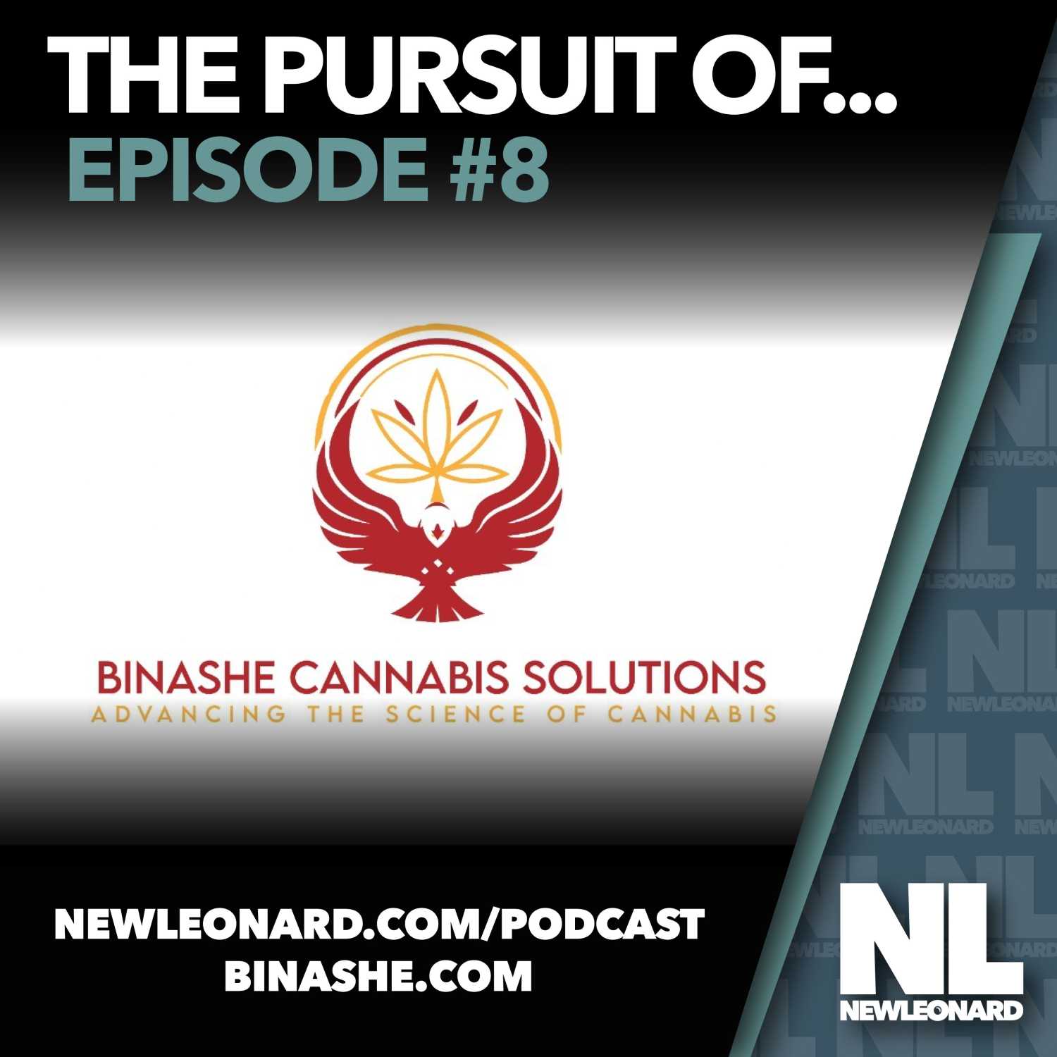 The Pursuit Of...