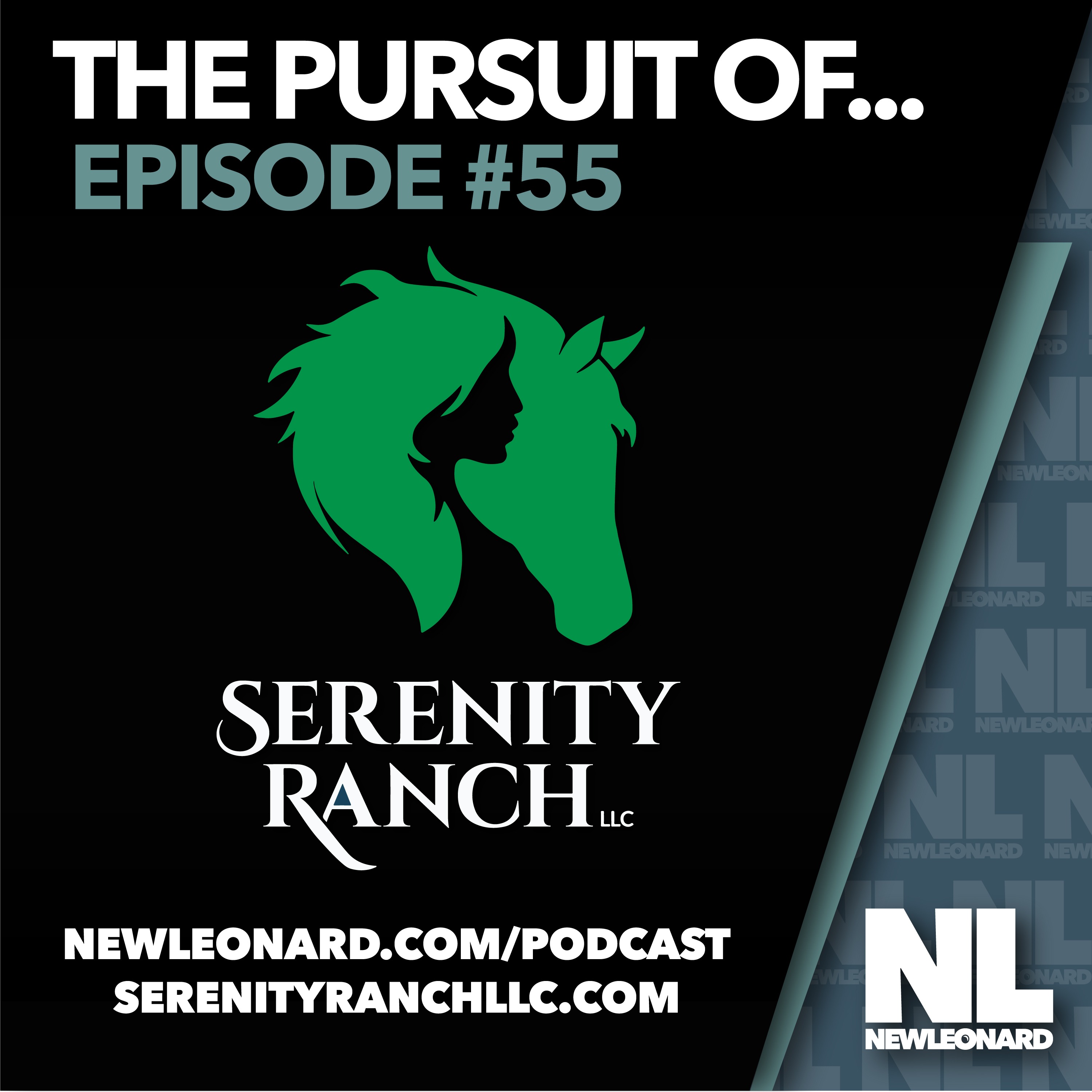 The Pursuit Of...