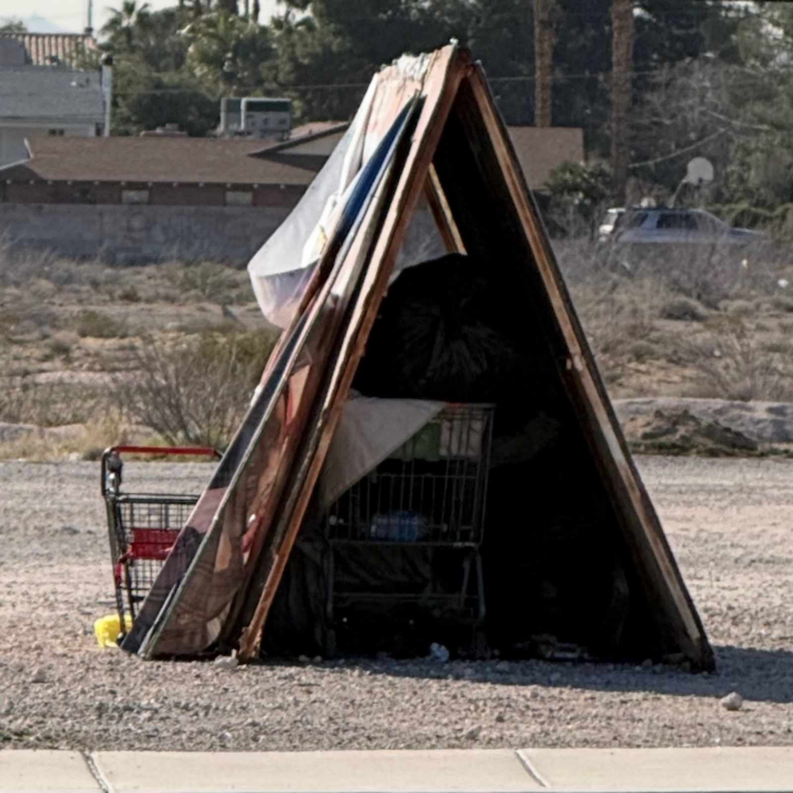 The Reality of Homeless Pet Owners episode artwork