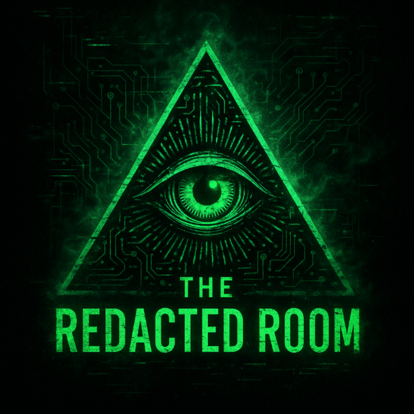 The Redacted Room