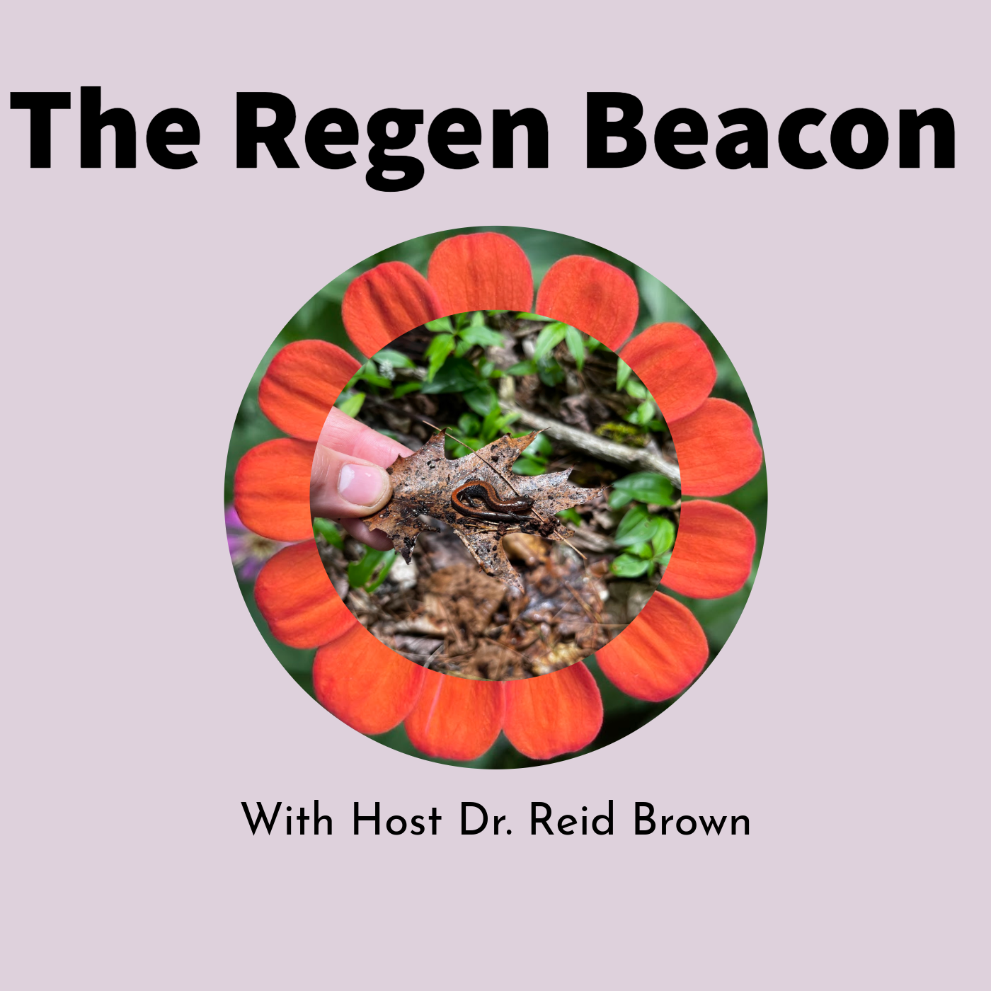 The Regen Beacon