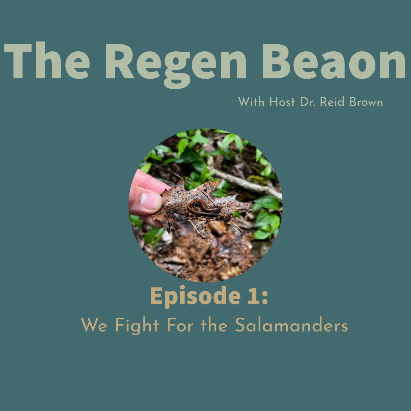 Episode 1: We Fight for the Salamanders