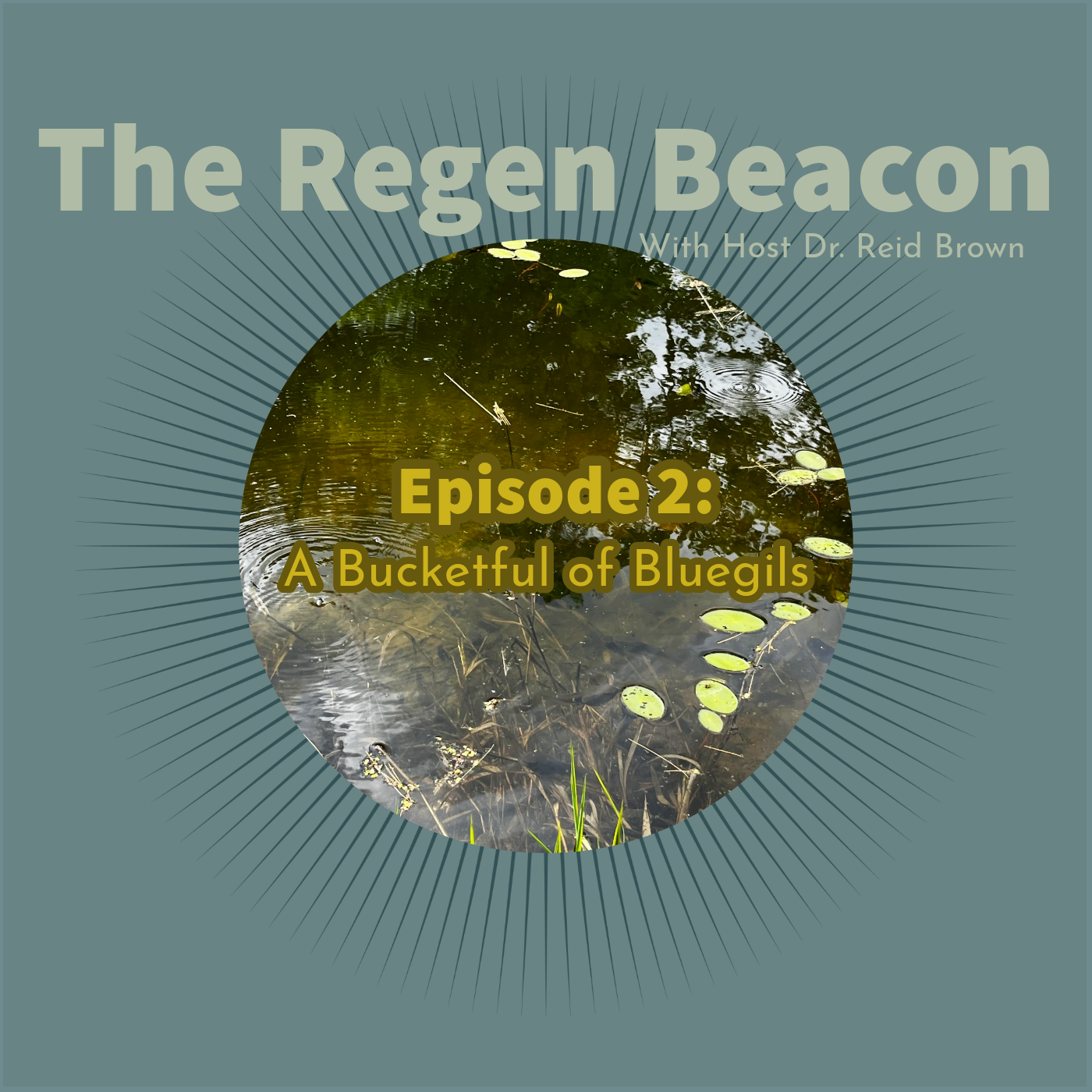 Episode 2: A Bucketful of Bluegills