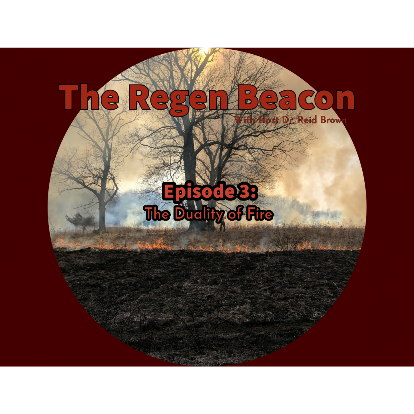 Episode 3: The Duality of Fire