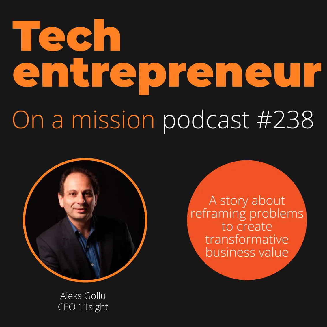 #238 - Aleks Gollu, CEO of 11Sight - on creating a unicorn business