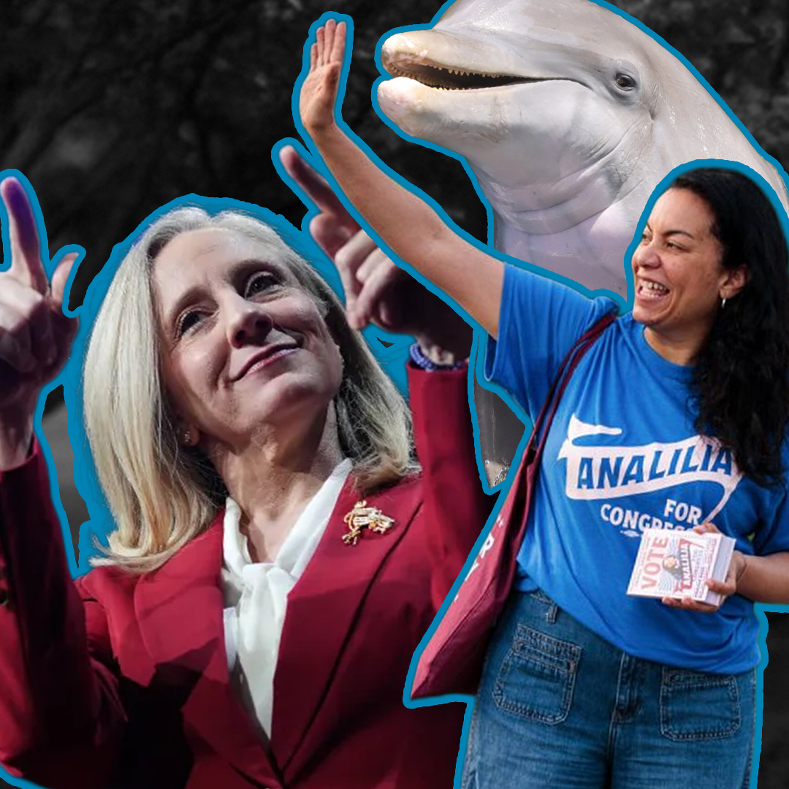 Dems Try to Rig Virginia!!!