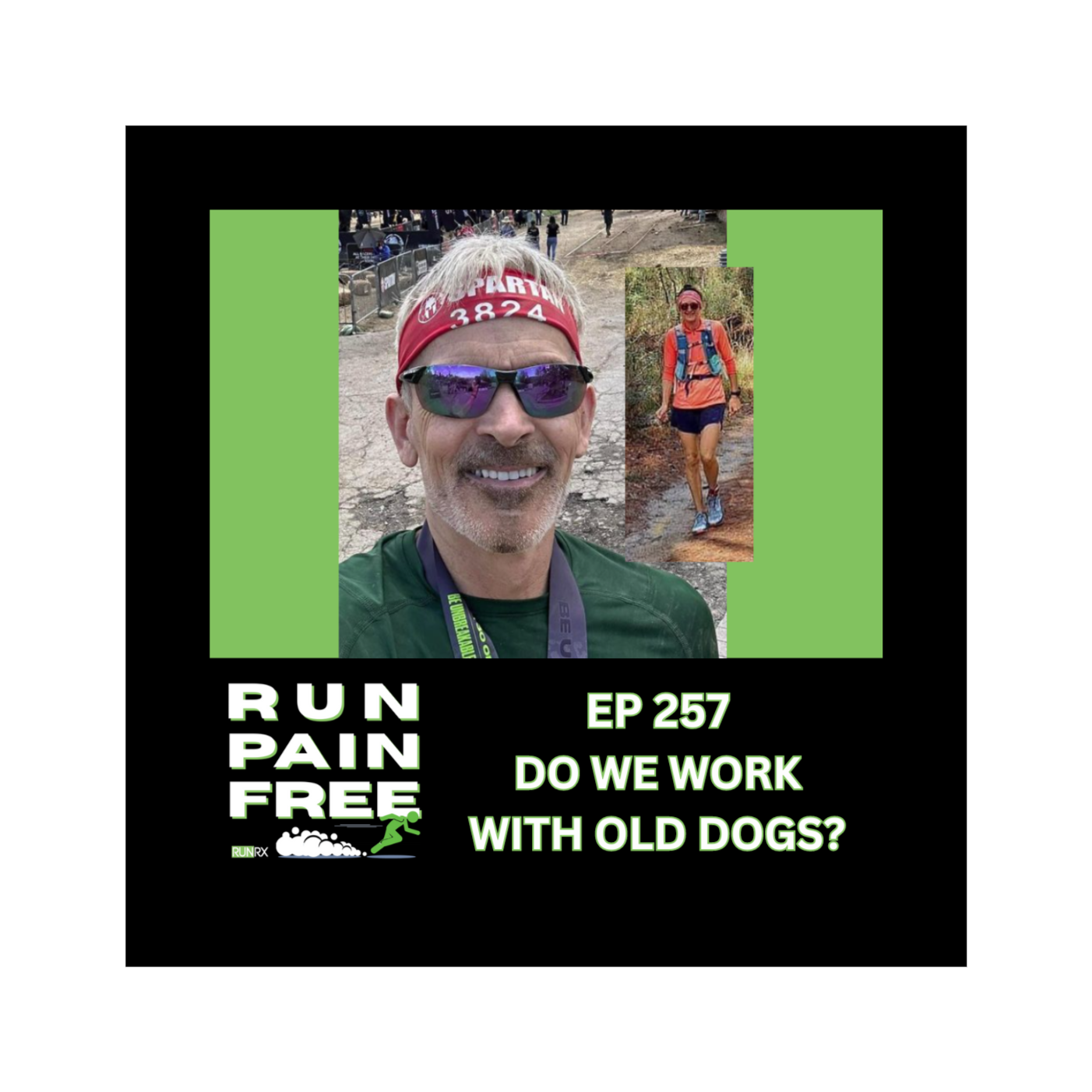 Do We Work with Old Dogs?