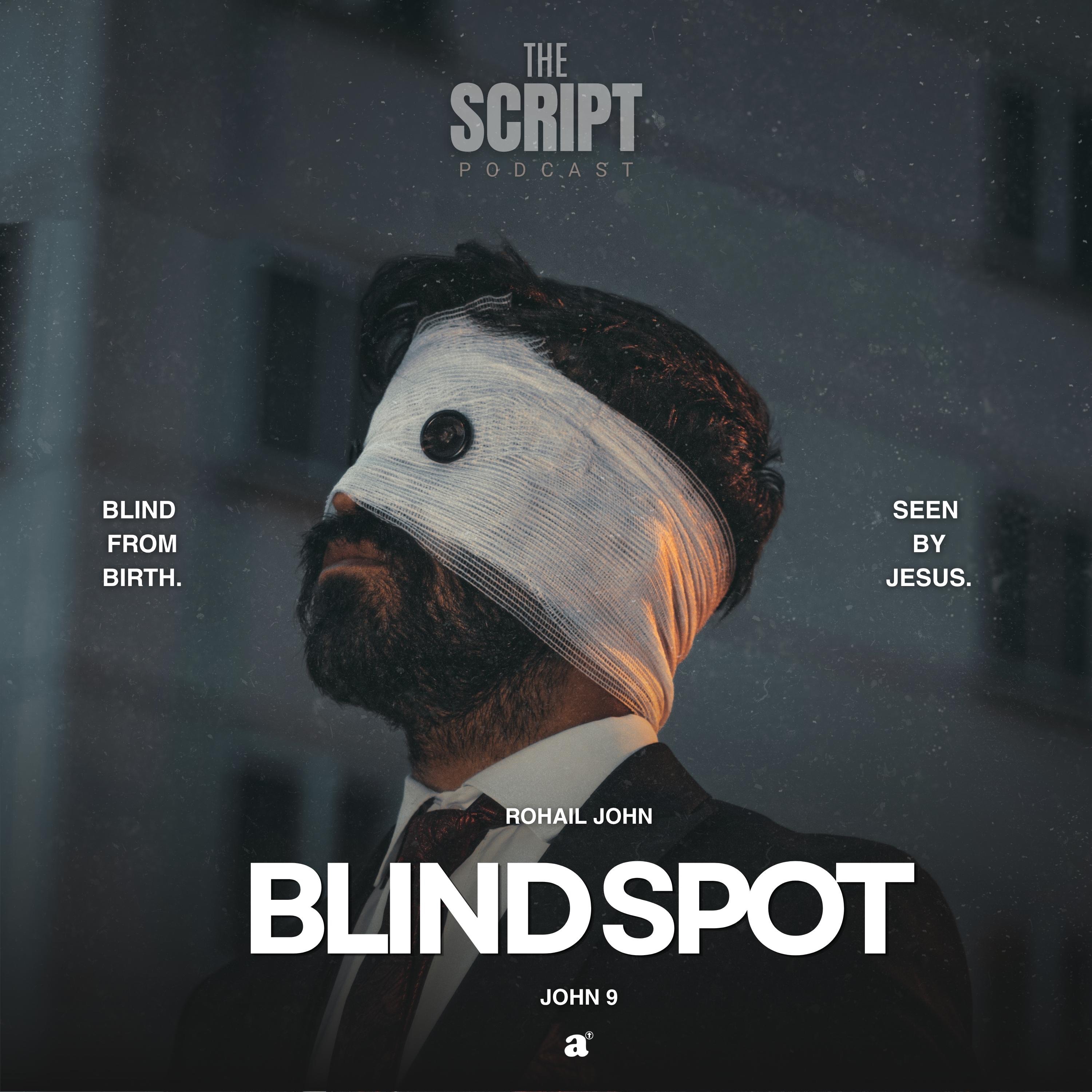 Blind Spot episode artwork