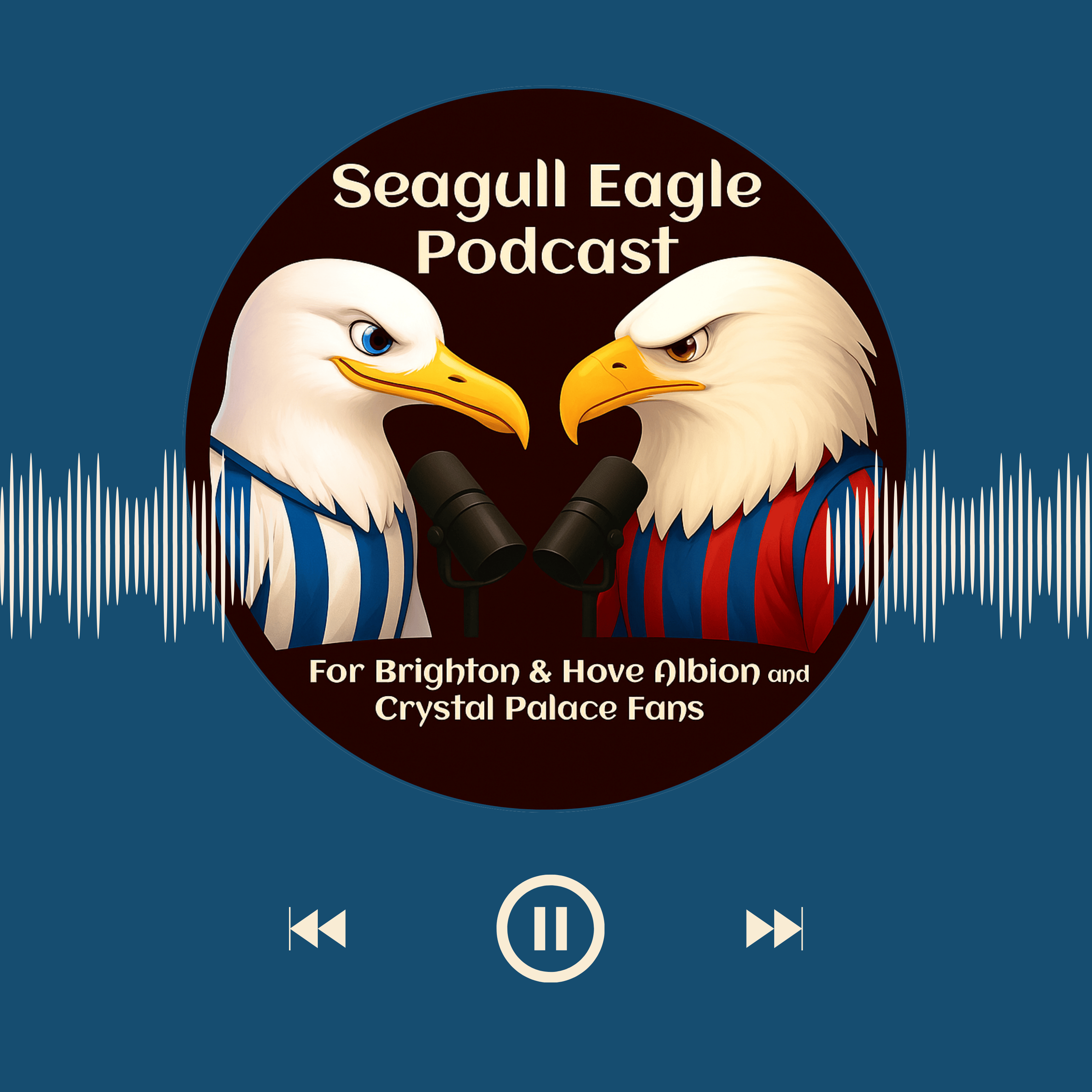 Wins all round, a clean sheet and we look ahead to Seagull Eagle Day!