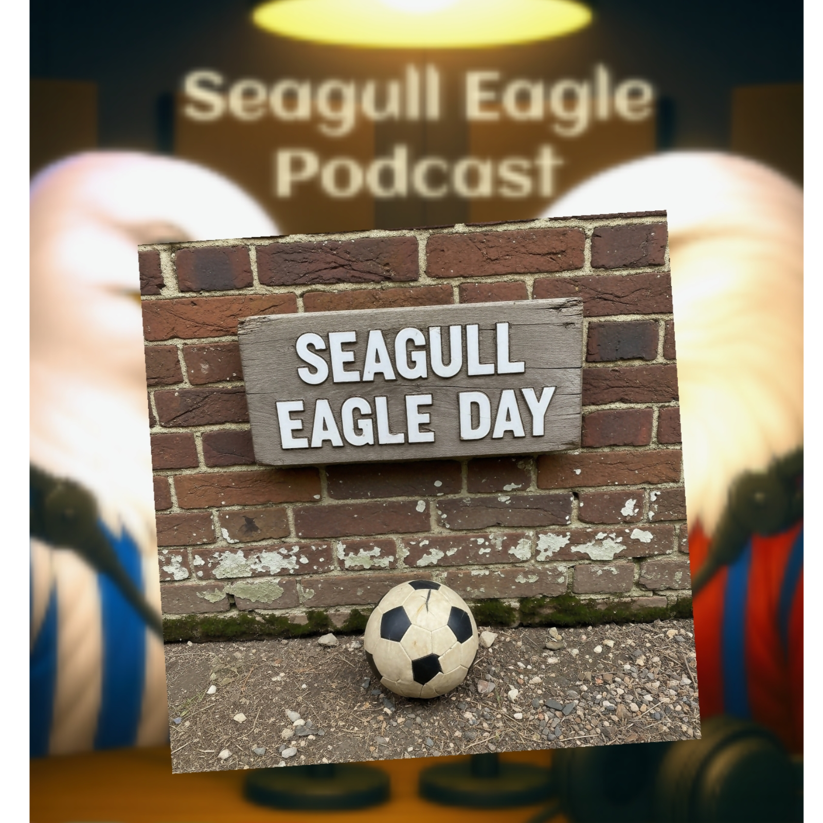 Seagull Eagle Day, TV appearances and a dancing dad.