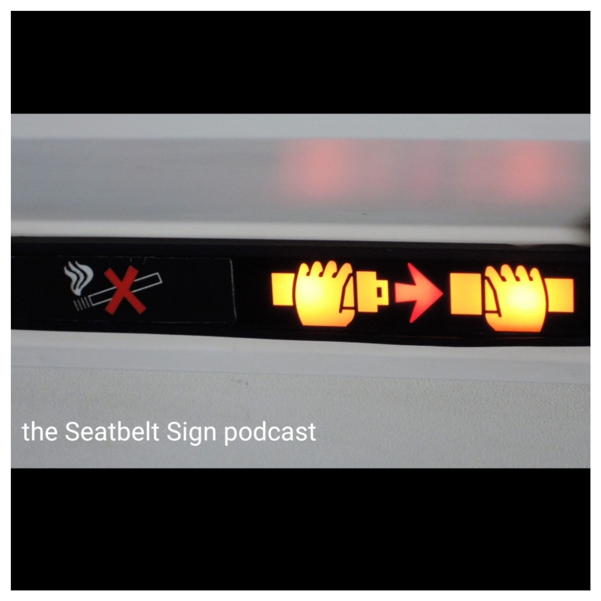 The Seatbelt Sign Podcast