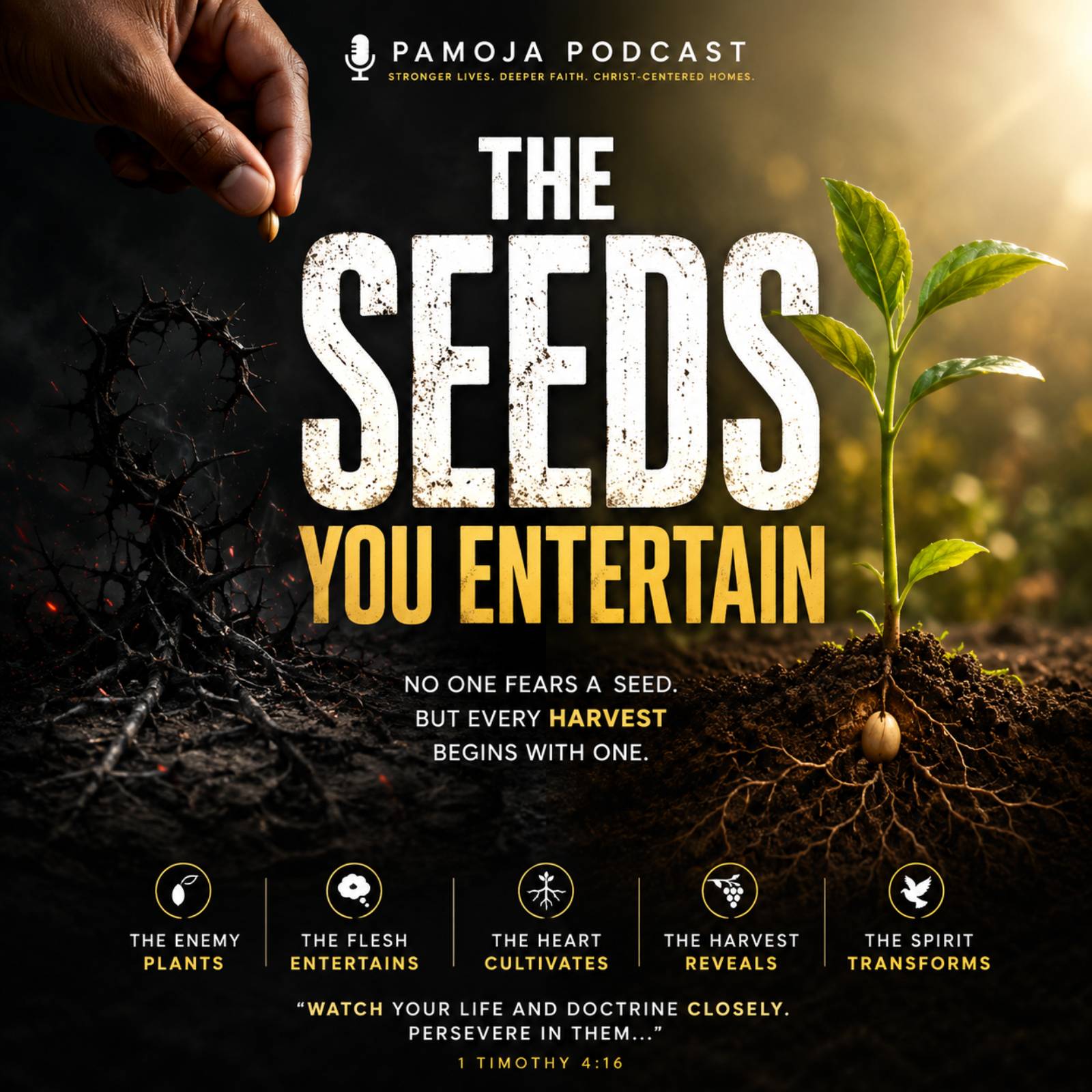 Pamoja Podcast: The Seeds You Entertain