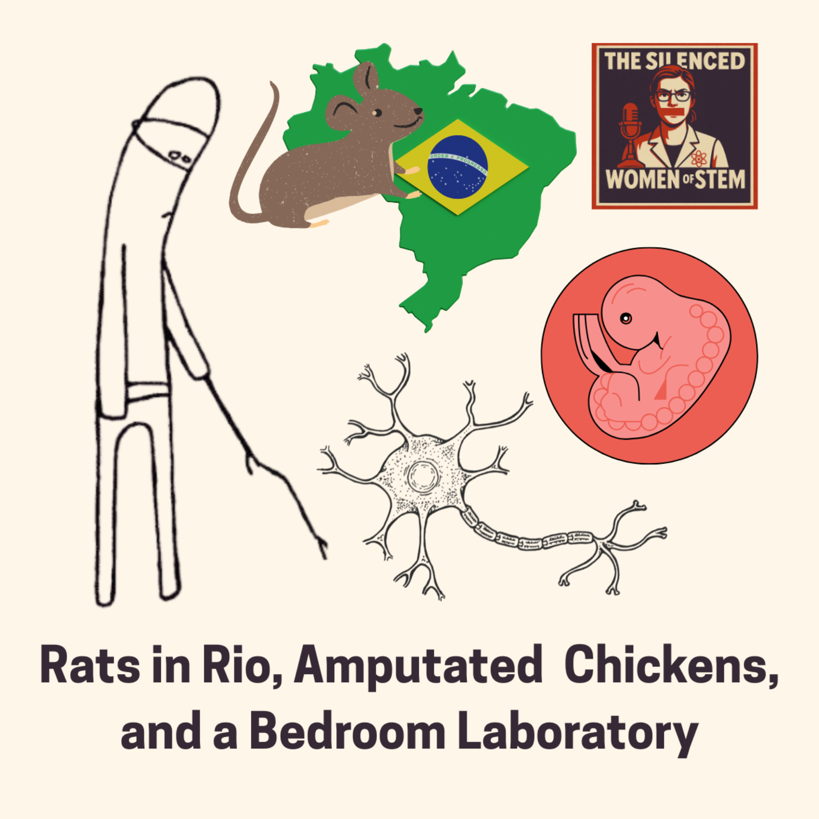 The Silenced Women of STEM