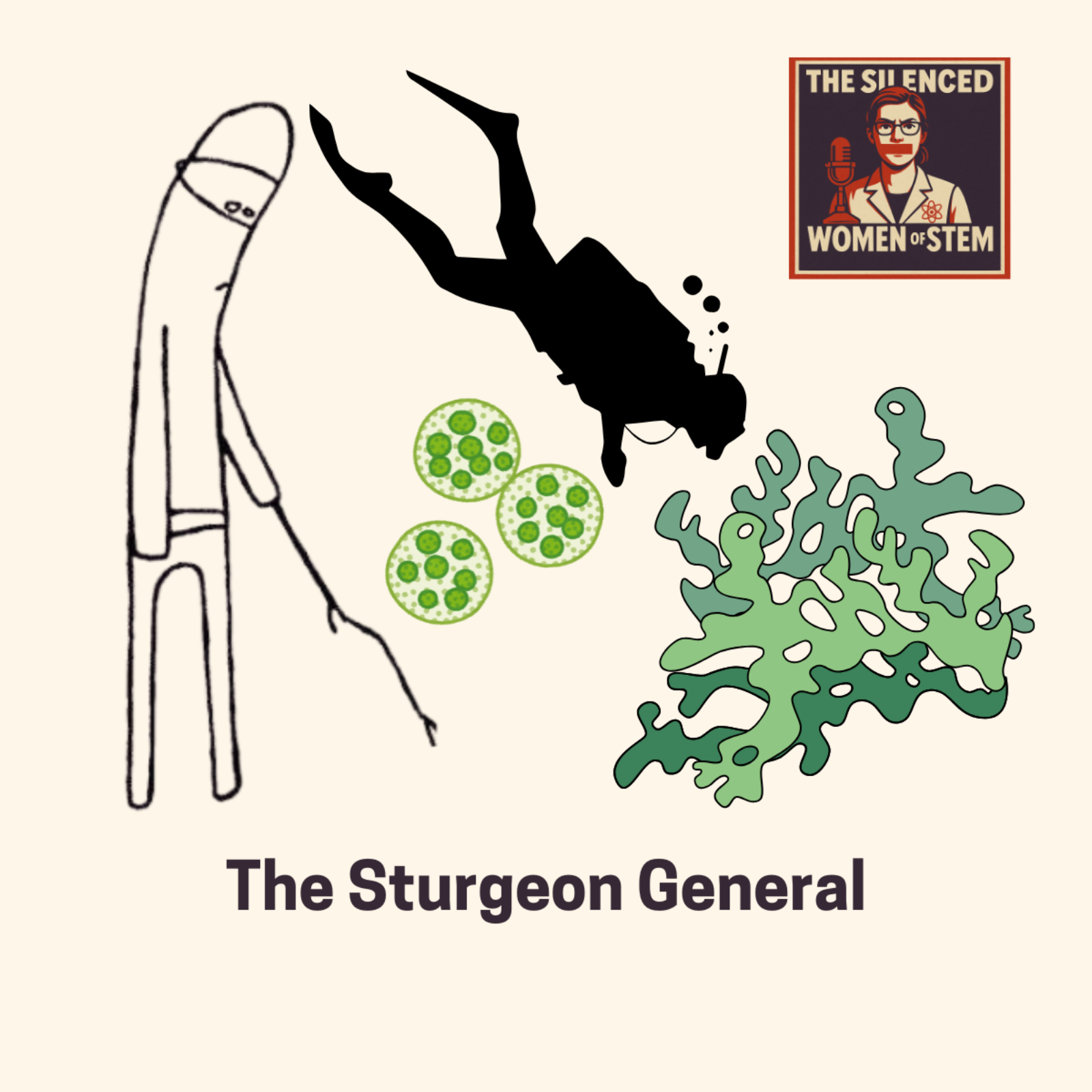 The Silenced Women of STEM