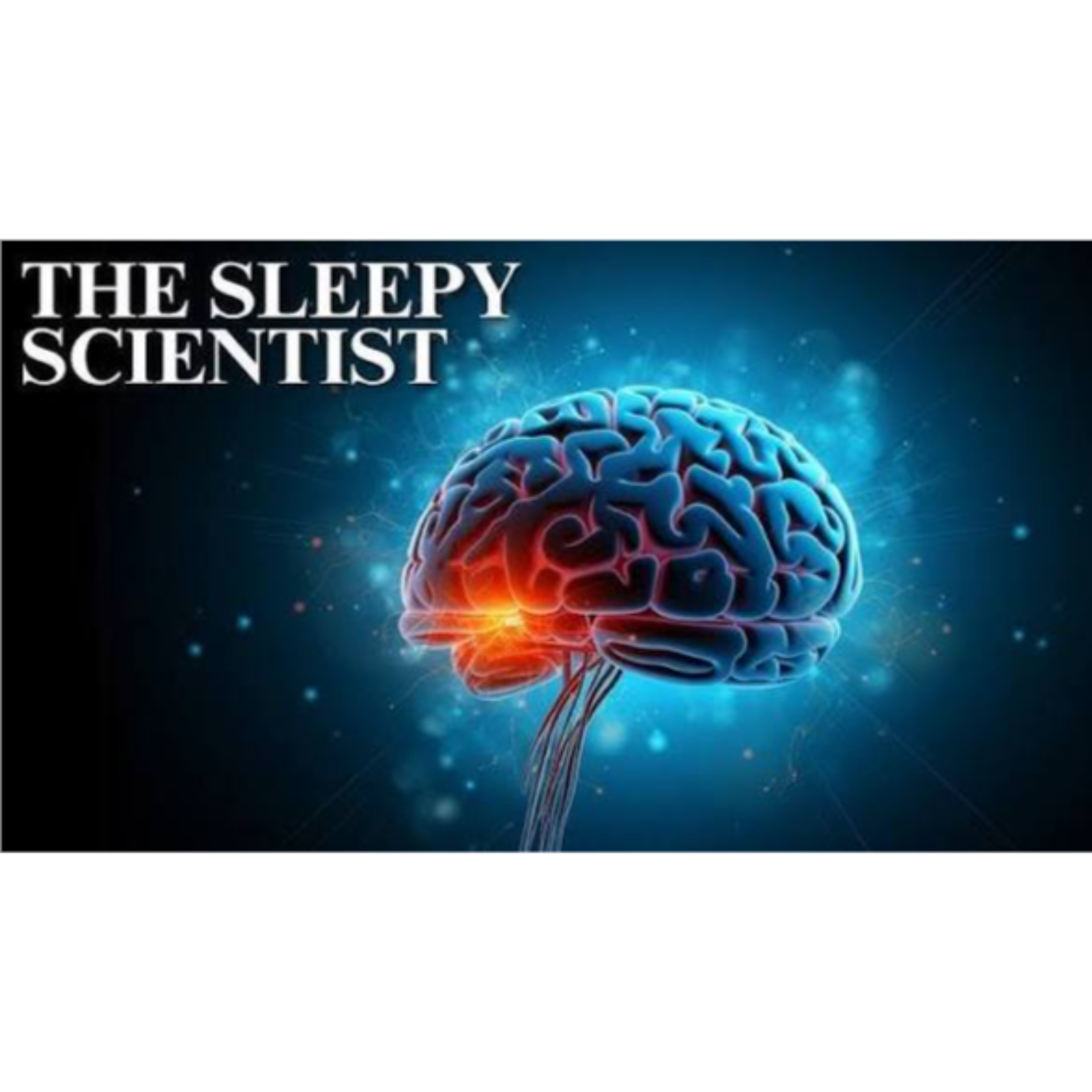 The Sleep Scientist