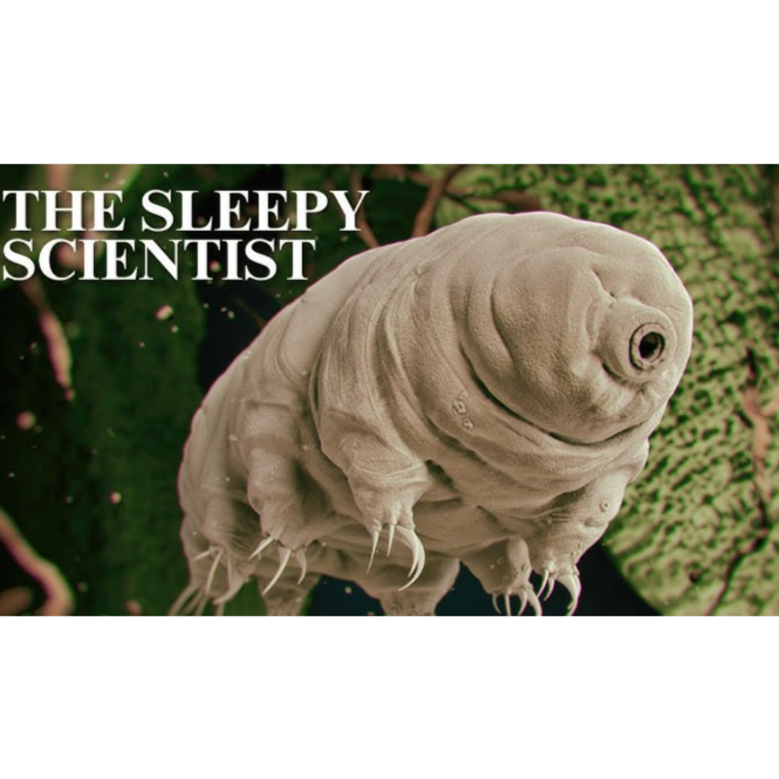 If Forests Can’t Think, Why Do They Behave Intelligently - The Sleepy Scientist episode artwork