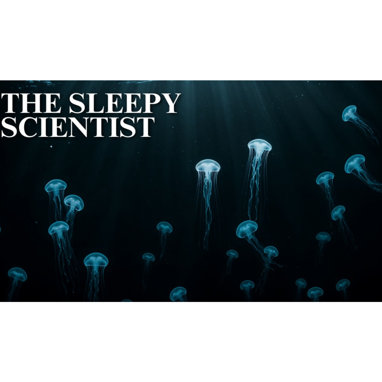 The Deep Ocean_ Explained Slowly _ Science for Sleep episode artwork