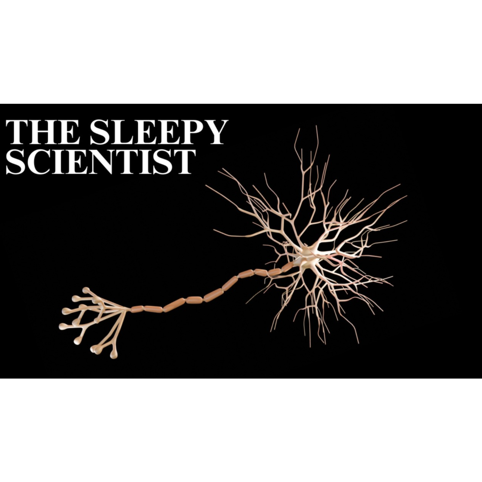 The Nervous System_ Explained Slowly _ Science for Sleep episode artwork