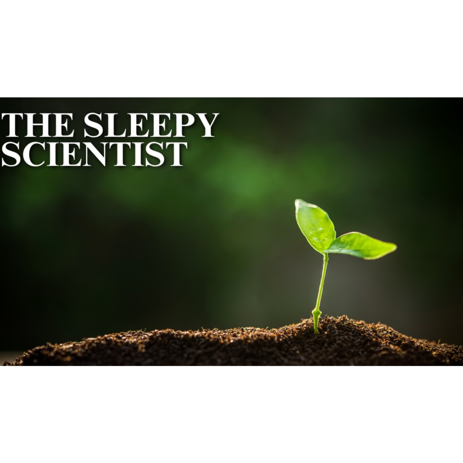 How Plants Evolve to Survive _ Science for Sleep episode artwork